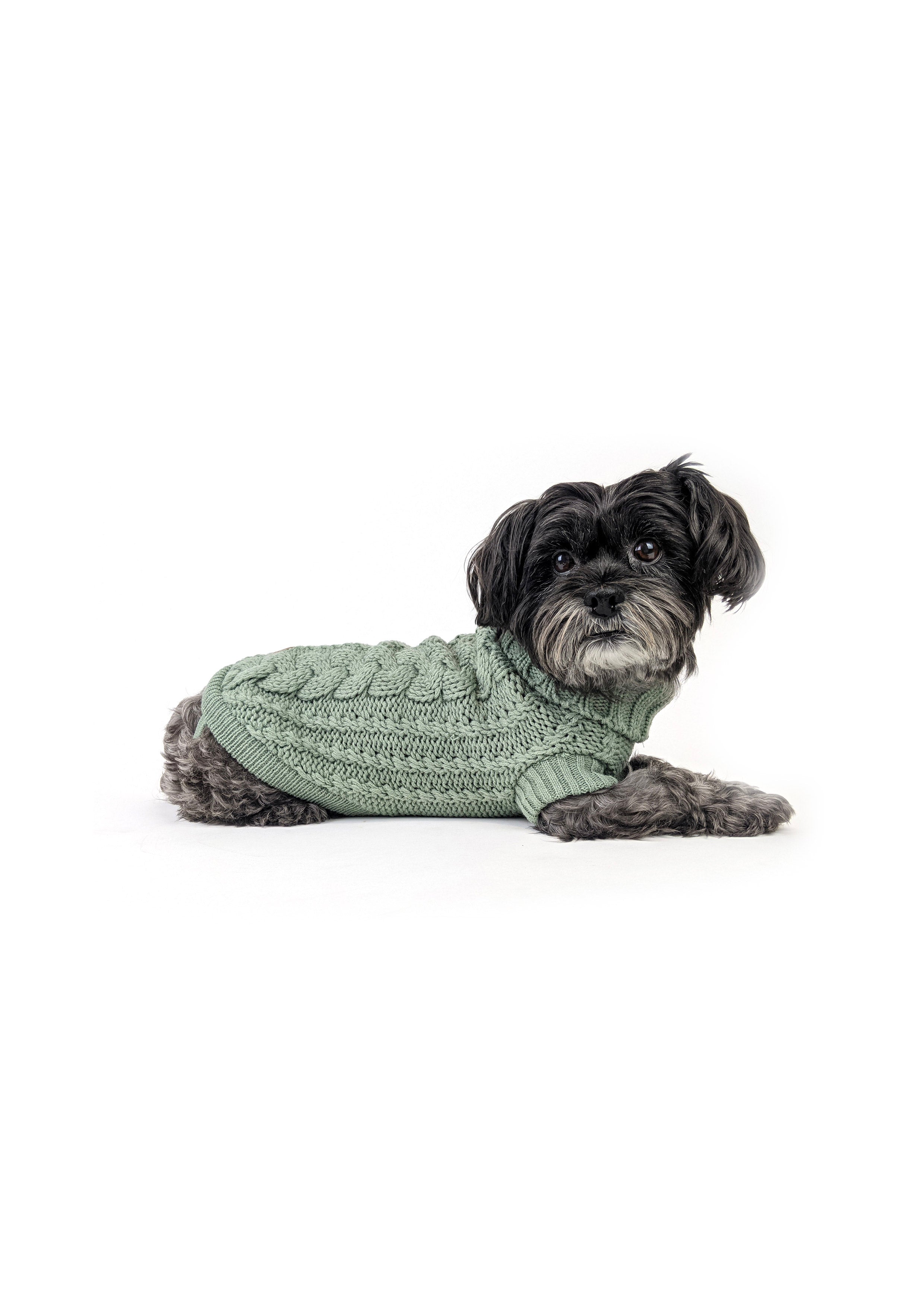 FRENCH KNIT JUMPER
