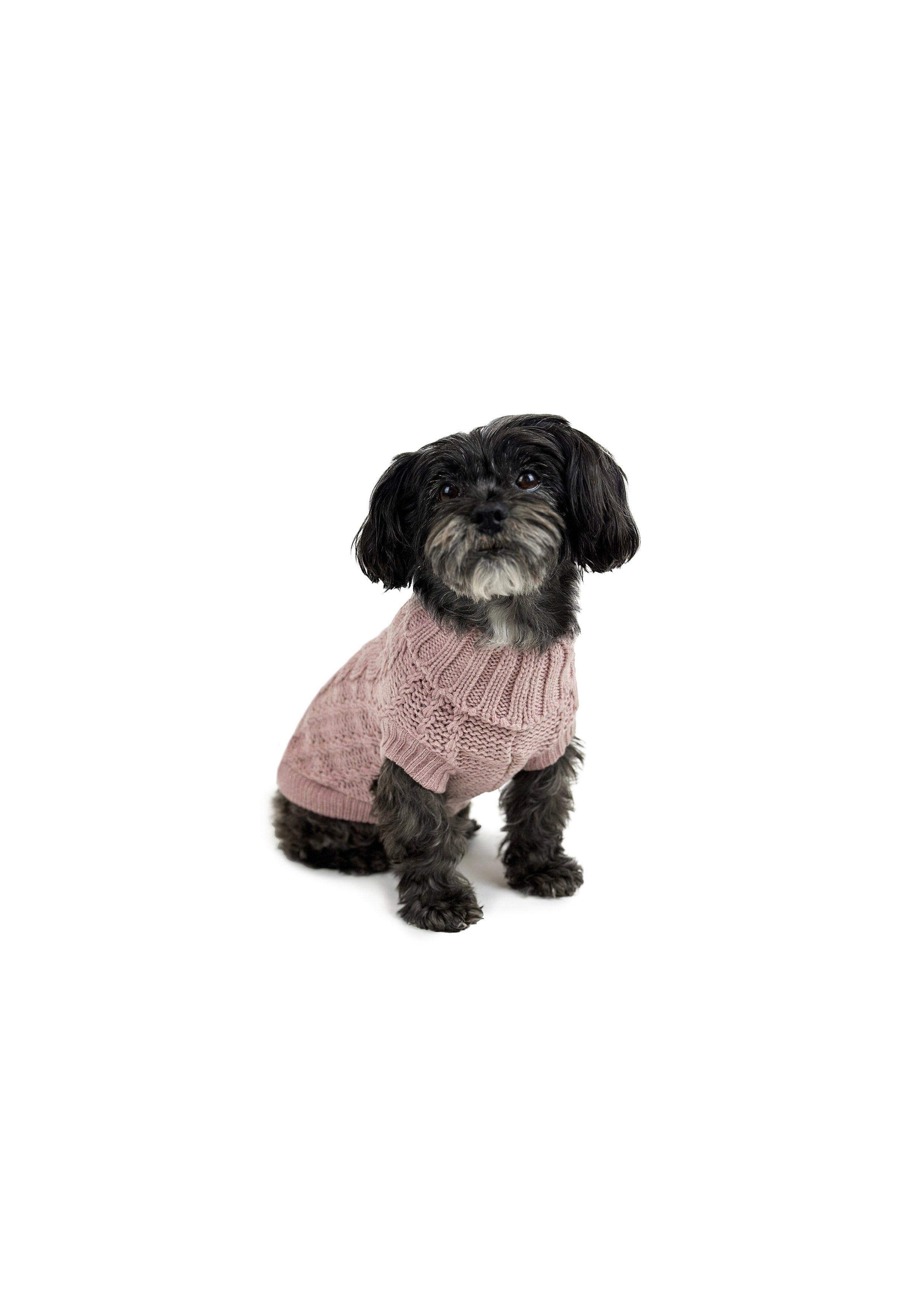 FRENCH KNIT JUMPER