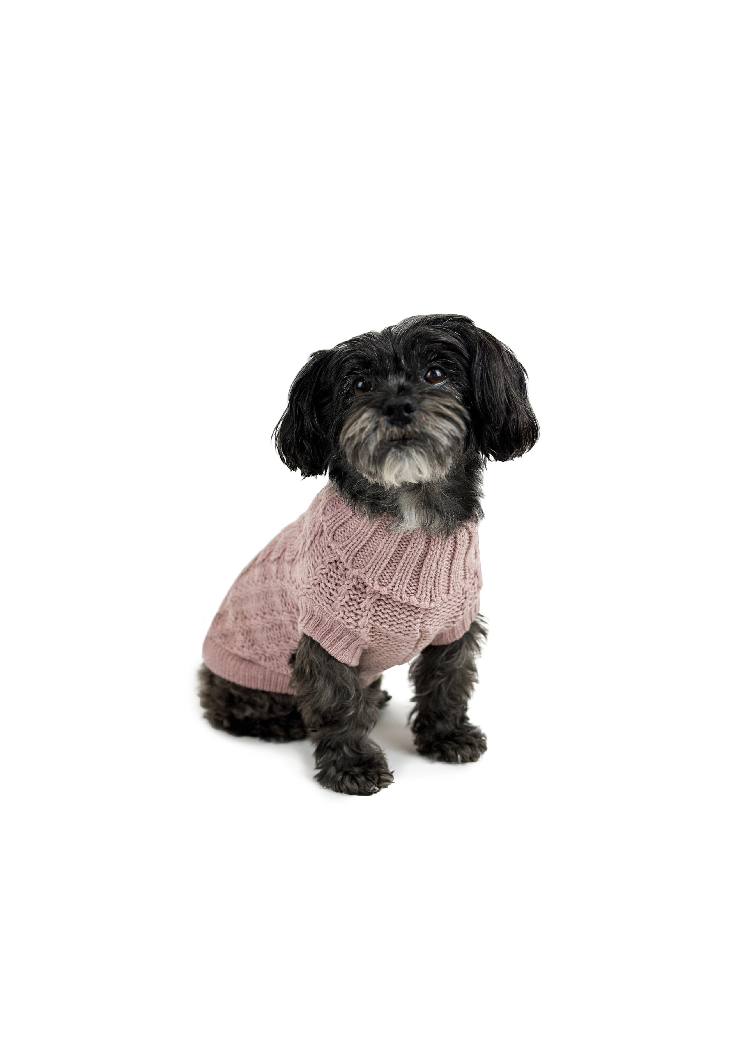 FRENCH KNIT JUMPER