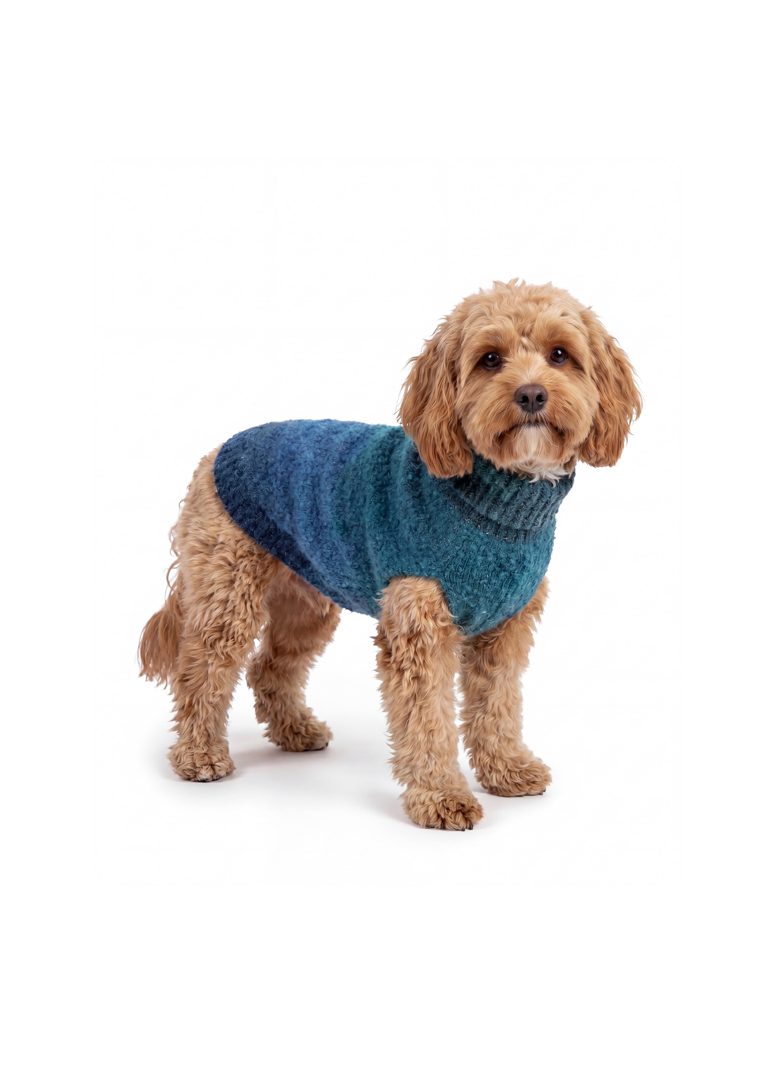 MOHAIR ANGORA JUMPER