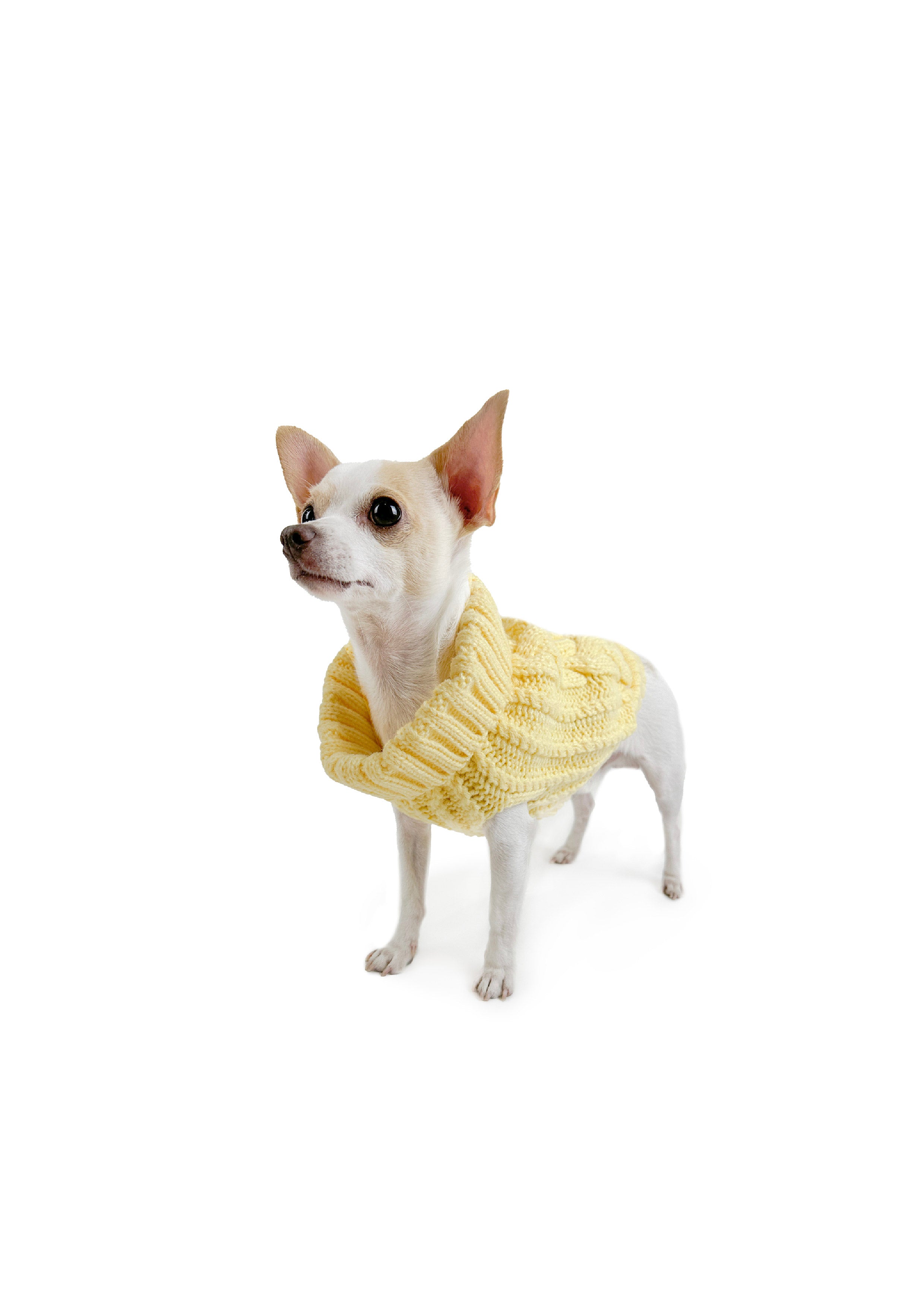 CALI KNIT JUMPER