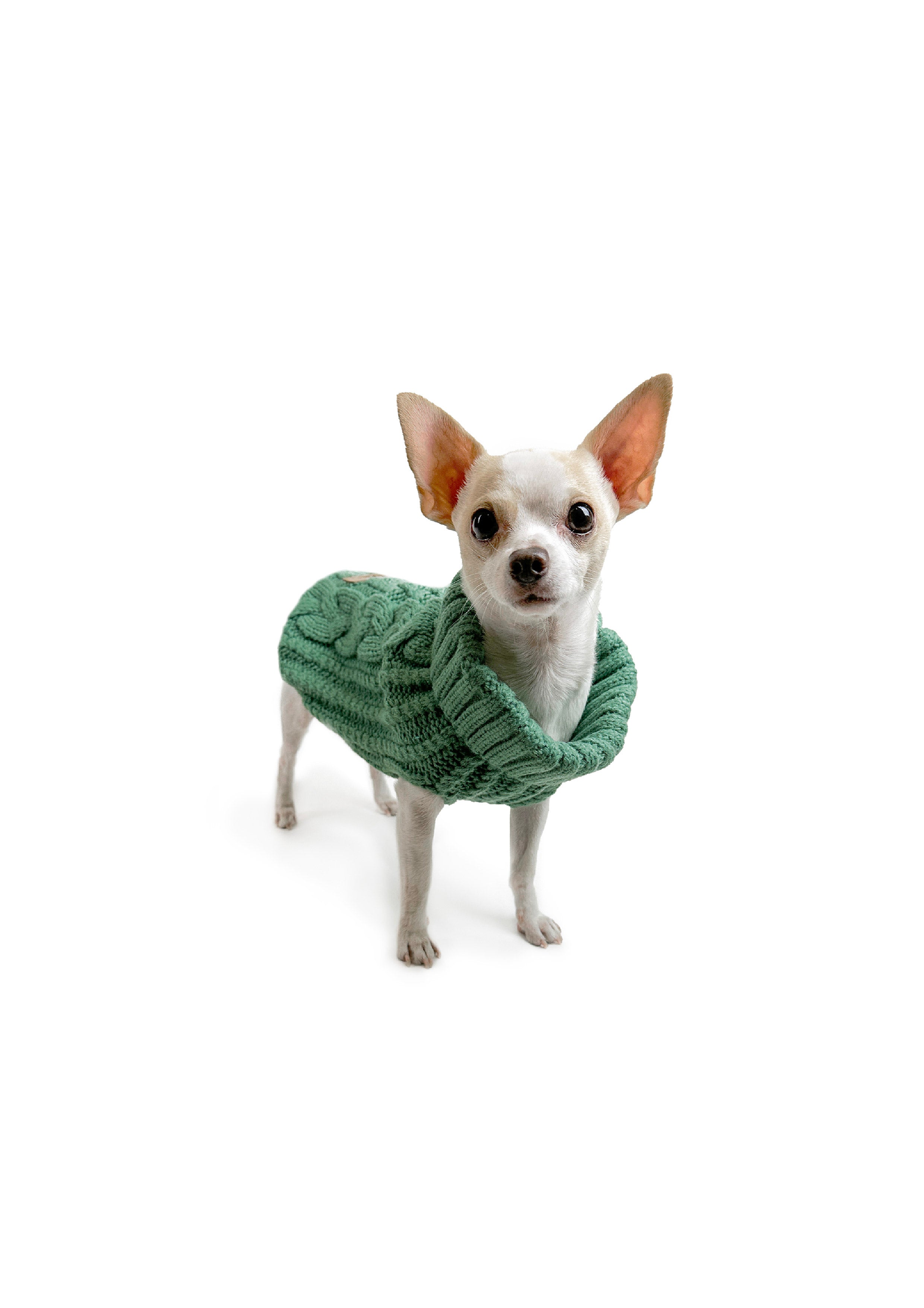 CALI KNIT JUMPER