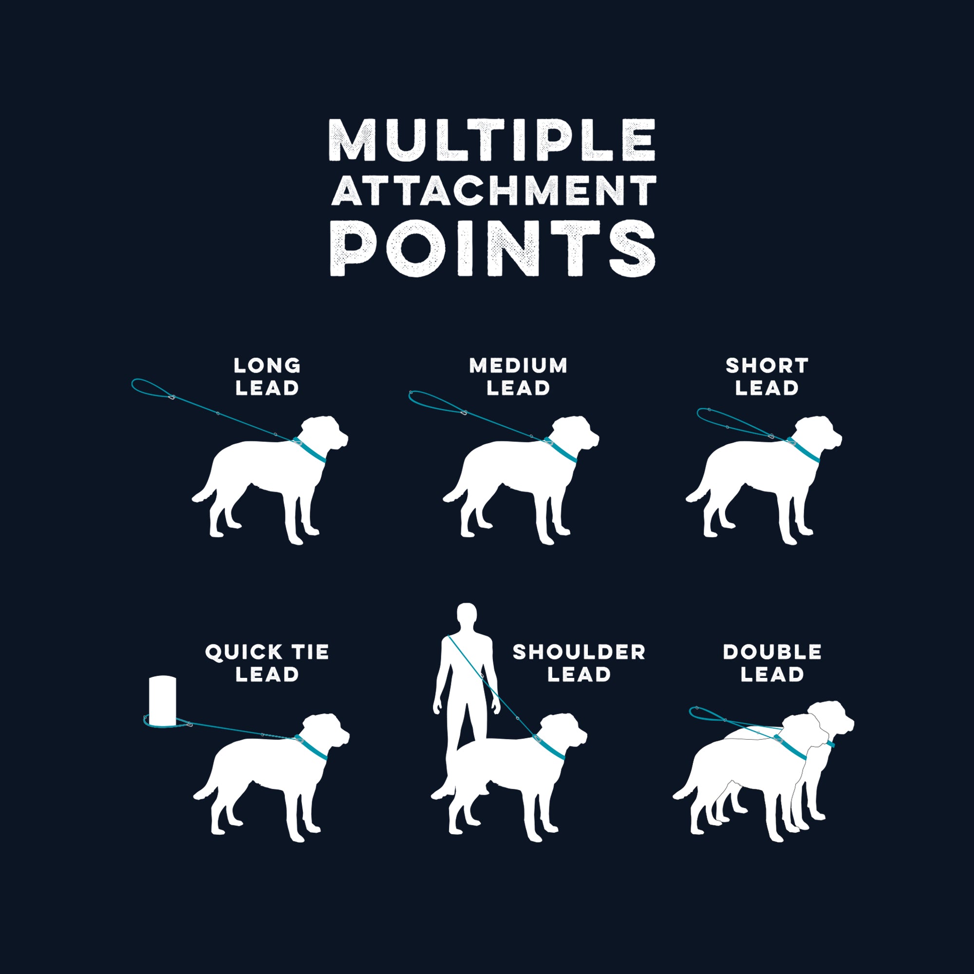 MULTI LEAD