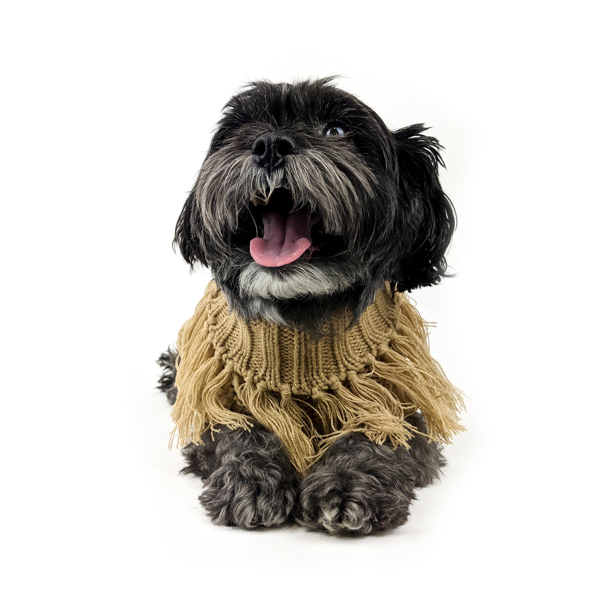COACHELLA JUMPER
