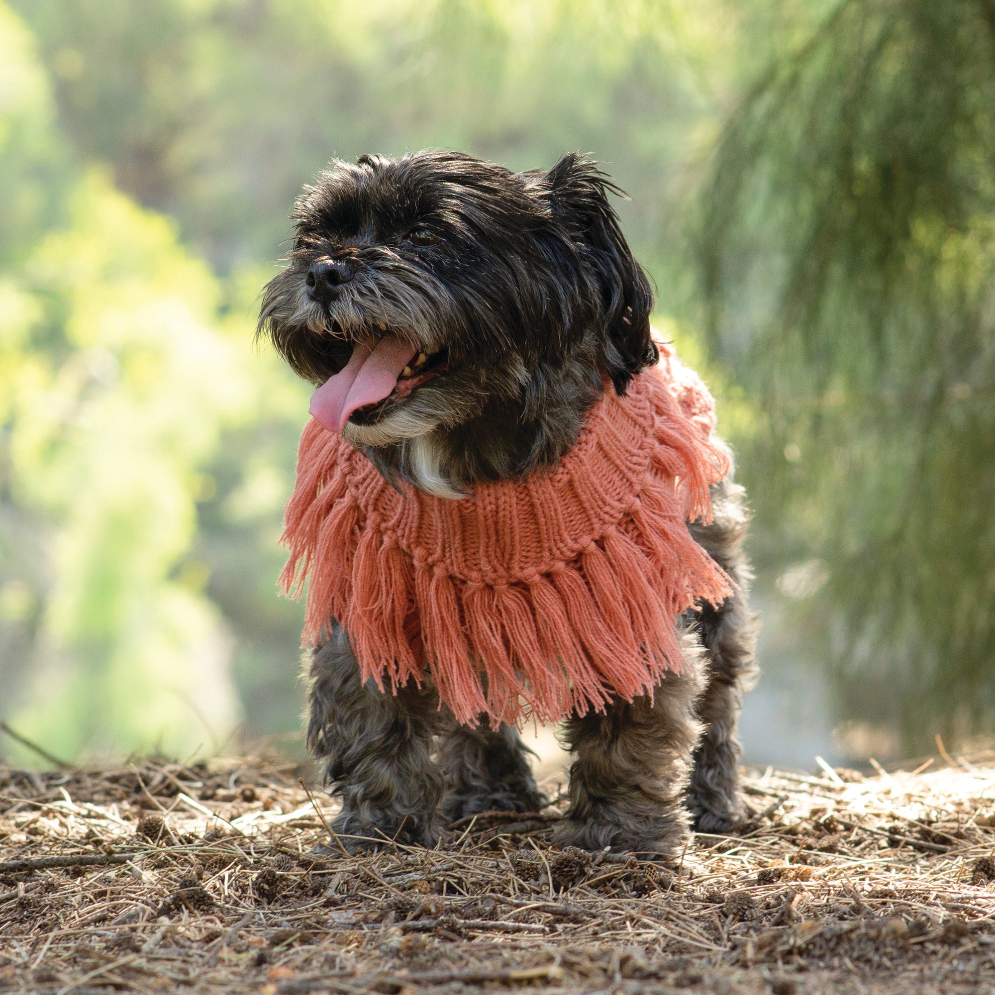 COACHELLA JUMPER