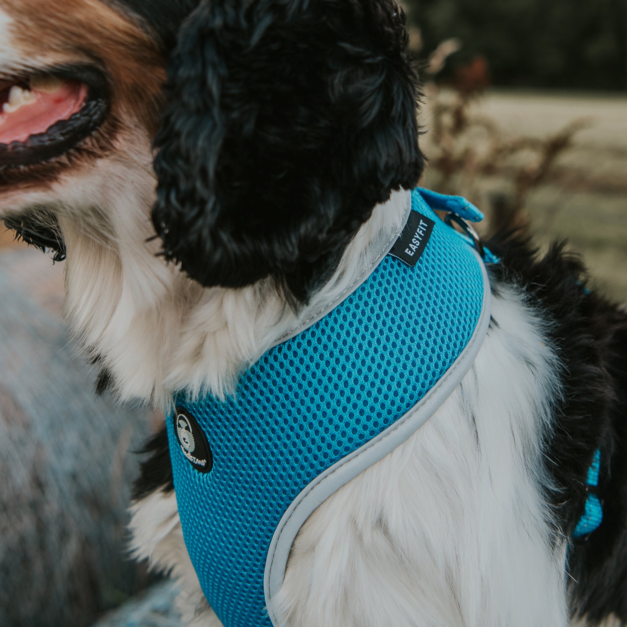 EASYFIT HARNESS