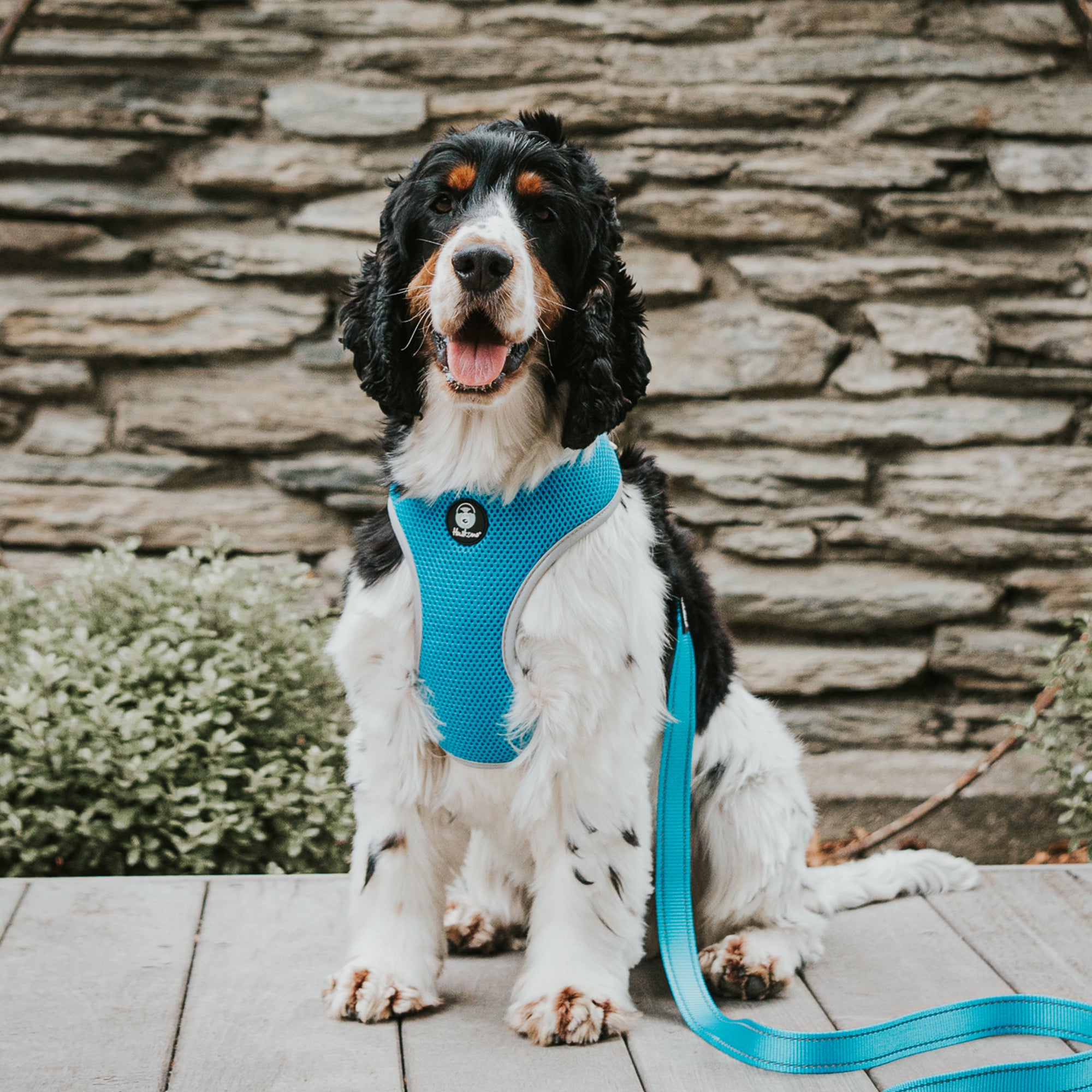 EASYFIT HARNESS