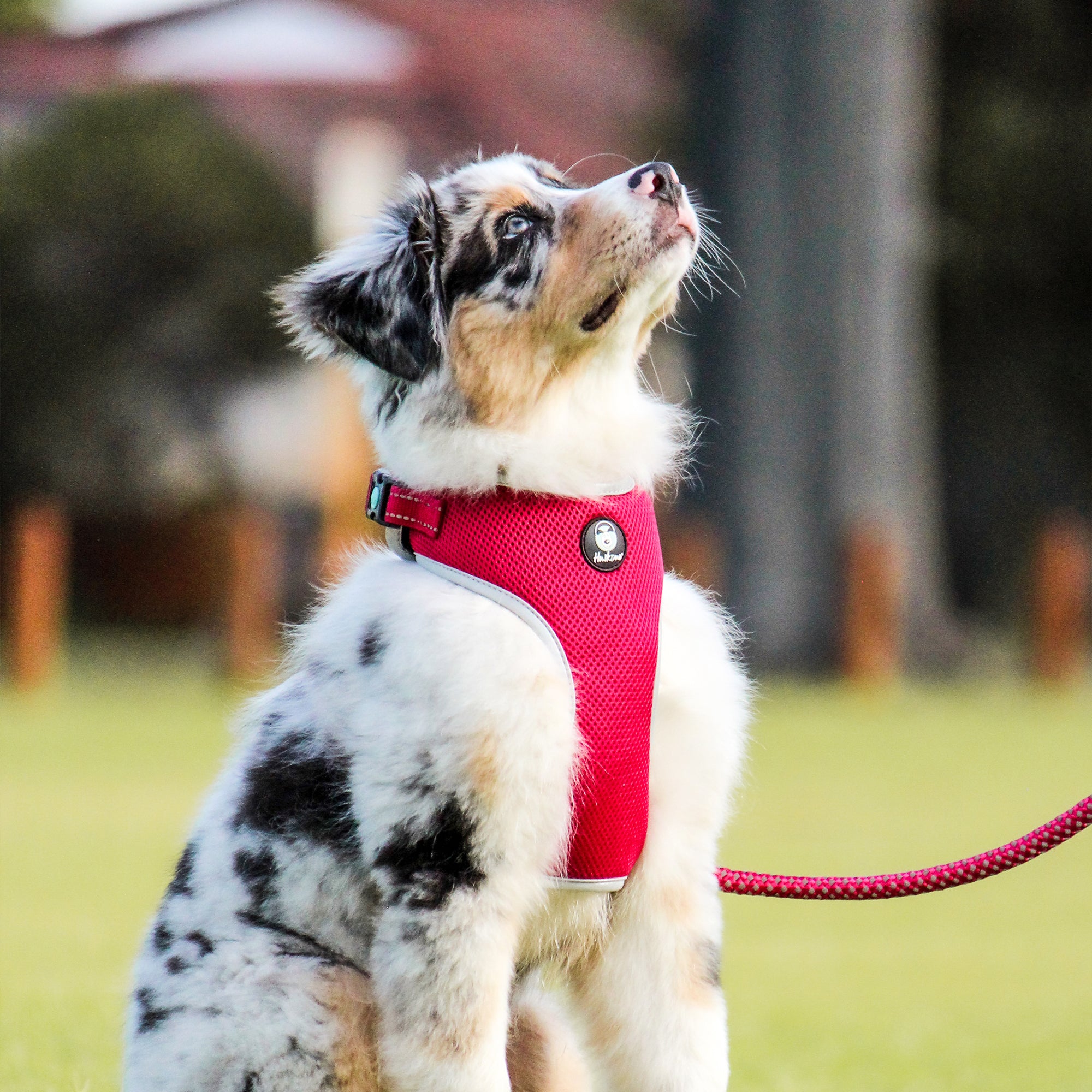 EASYFIT HARNESS