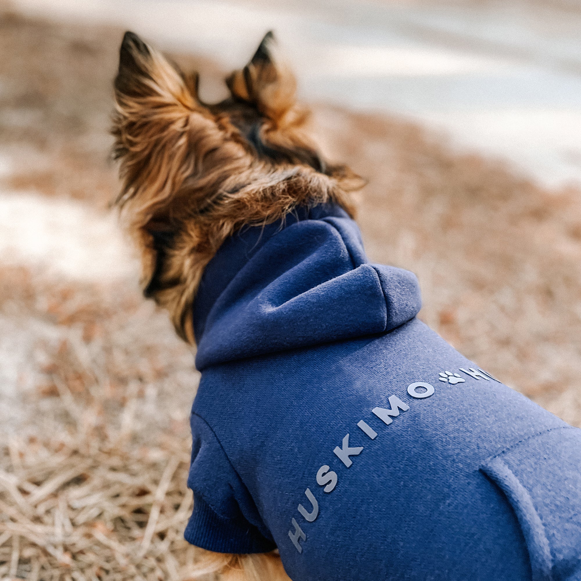 MT BAW BAW HOODIE