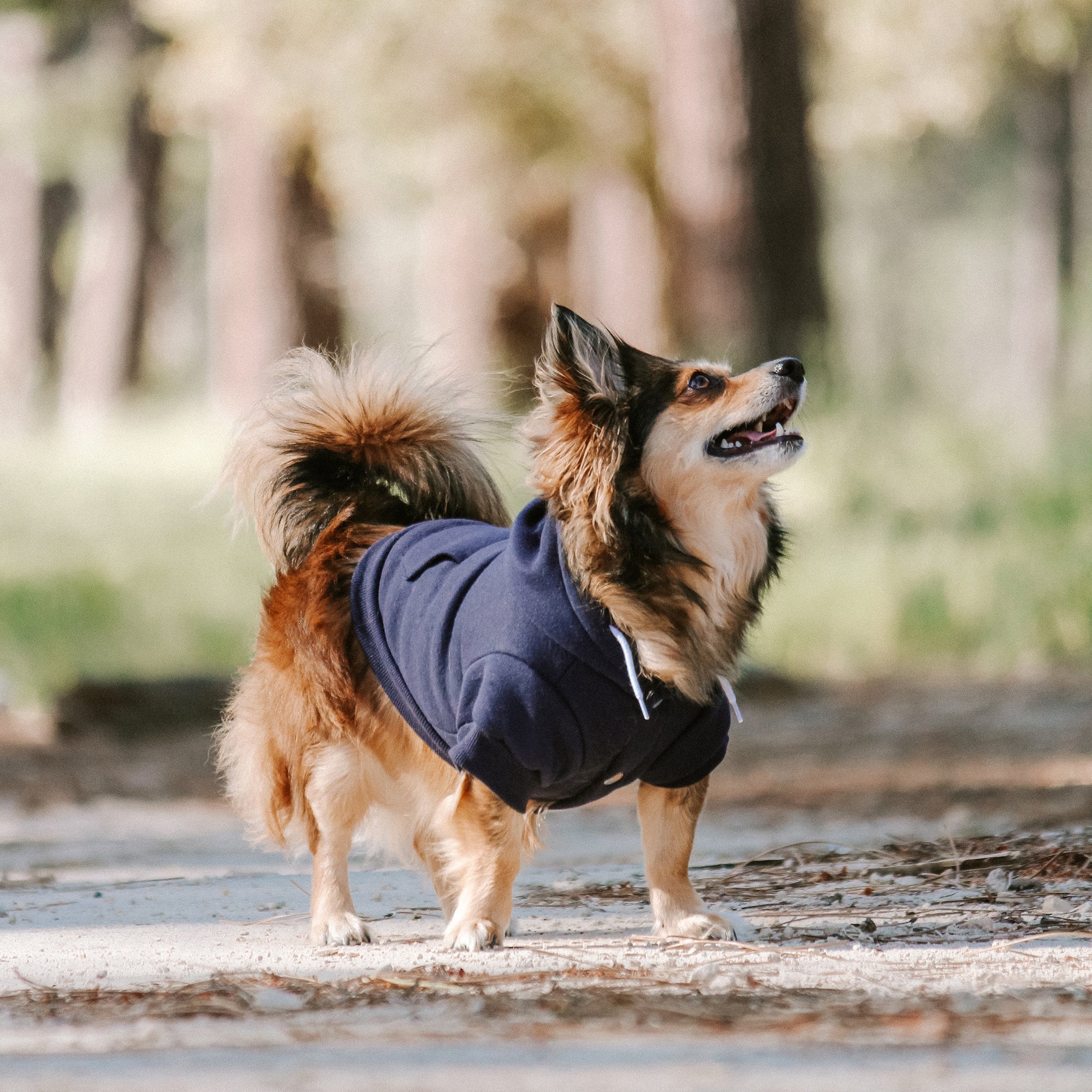 MT BAW BAW HOODIE