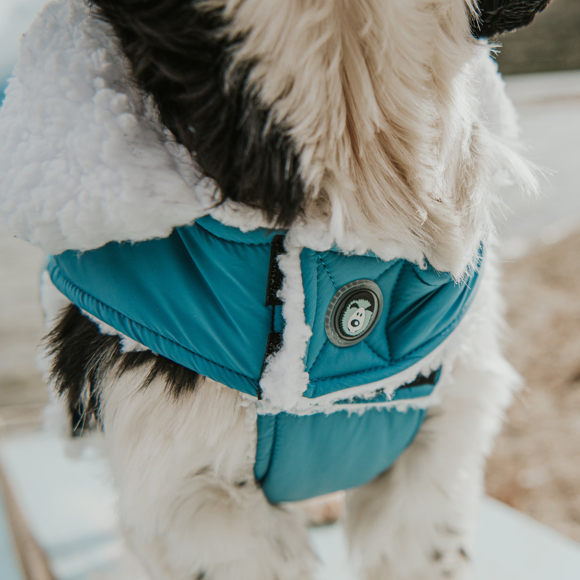LIGHTNING BOLT COAT