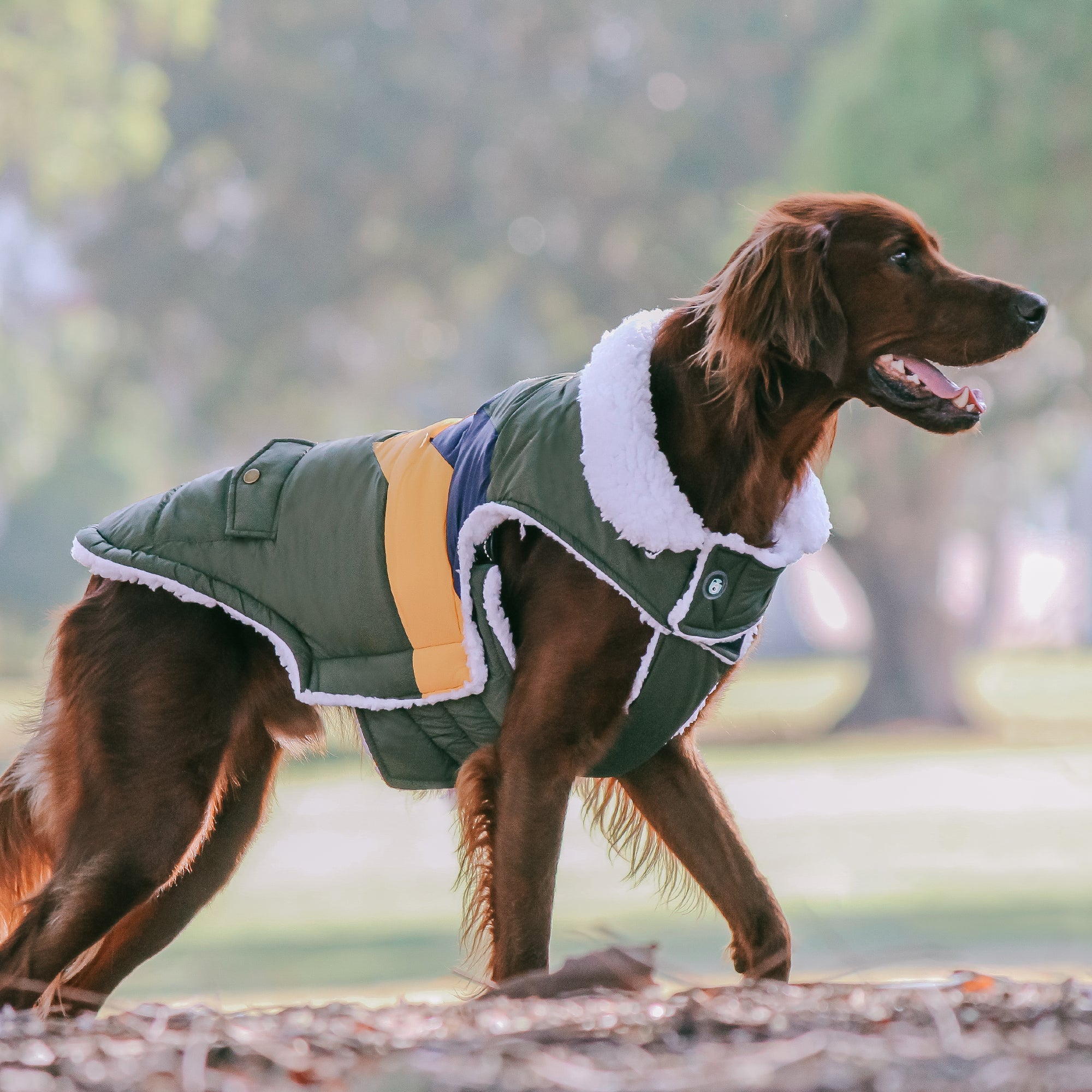 LIGHTNING BOLT COAT