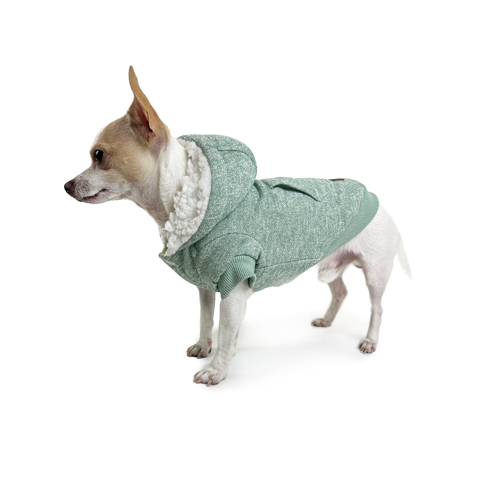 MT SNOWY HOODIE
