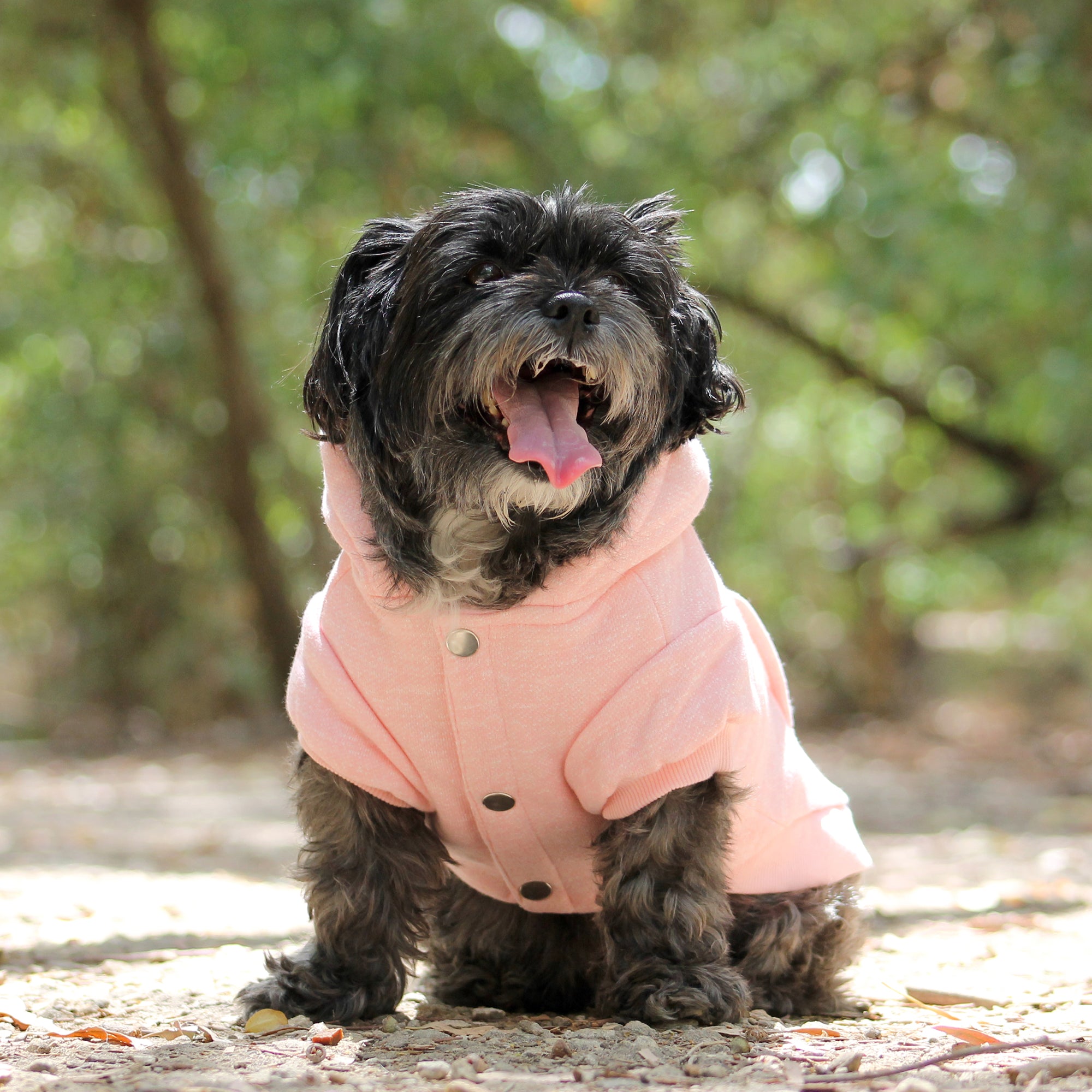 MT SNOWY HOODIE