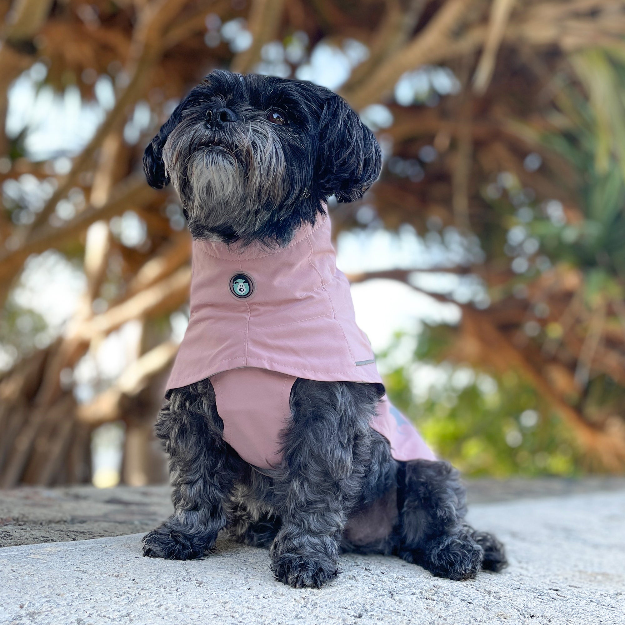 PEAK RAINCOAT