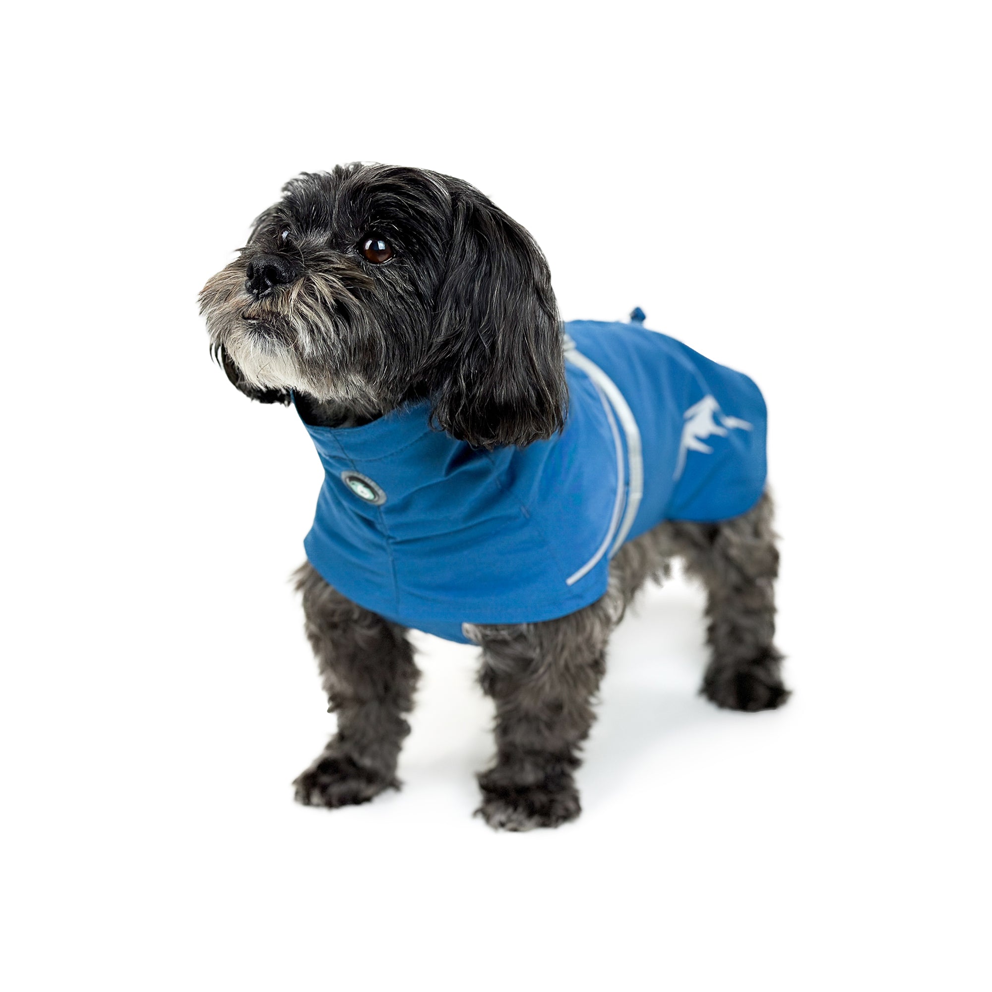 PEAK RAINCOAT