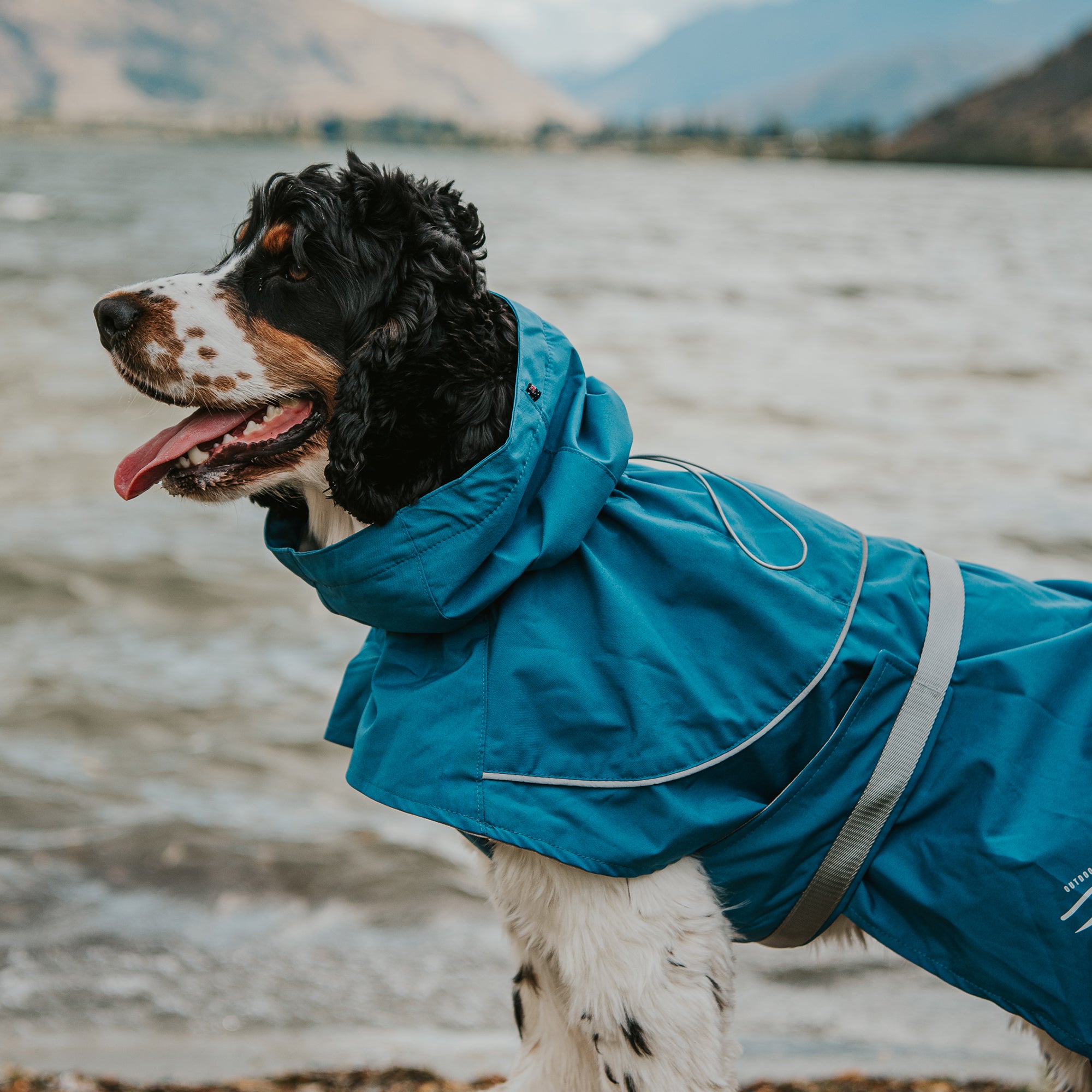 PEAK RAINCOAT