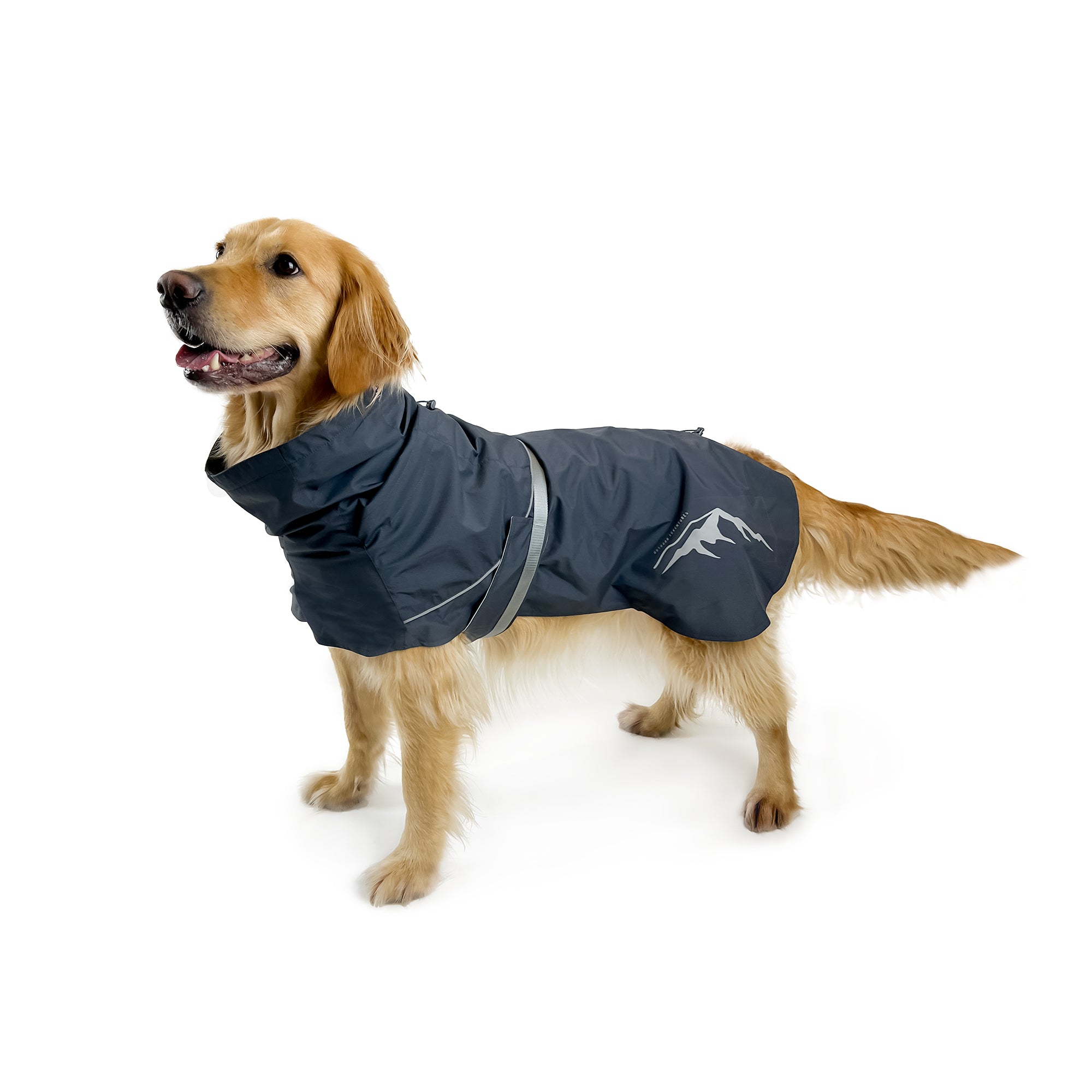 PEAK RAINCOAT