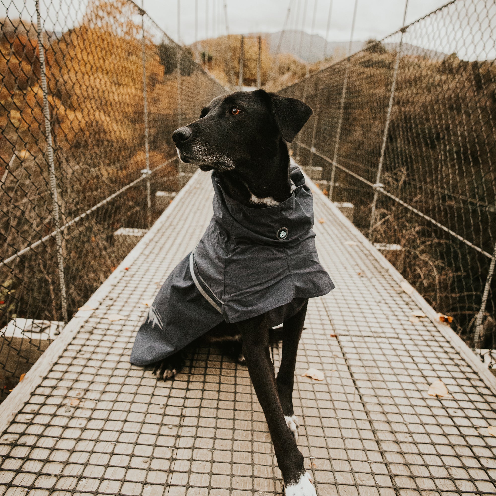 PEAK RAINCOAT