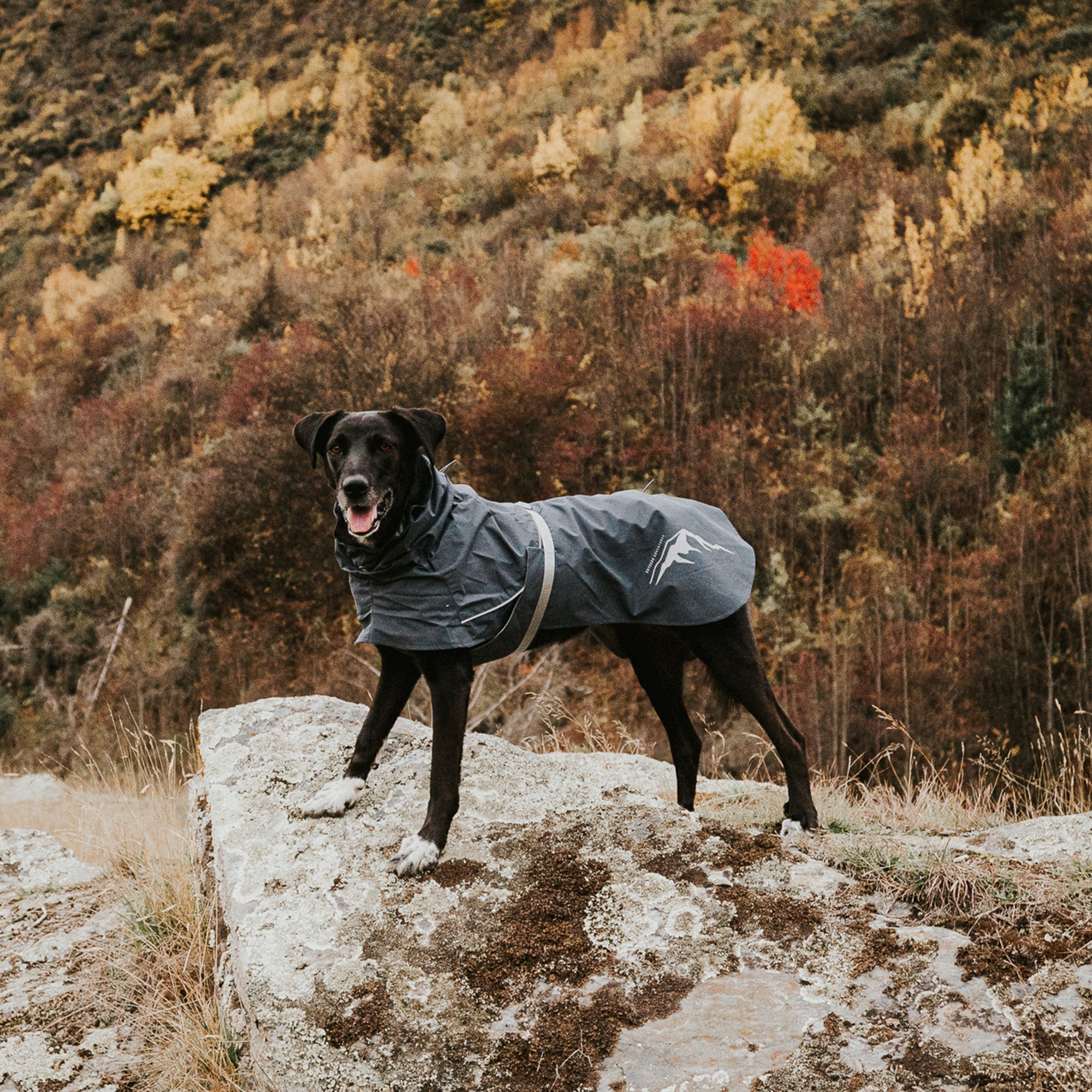 PEAK RAINCOAT