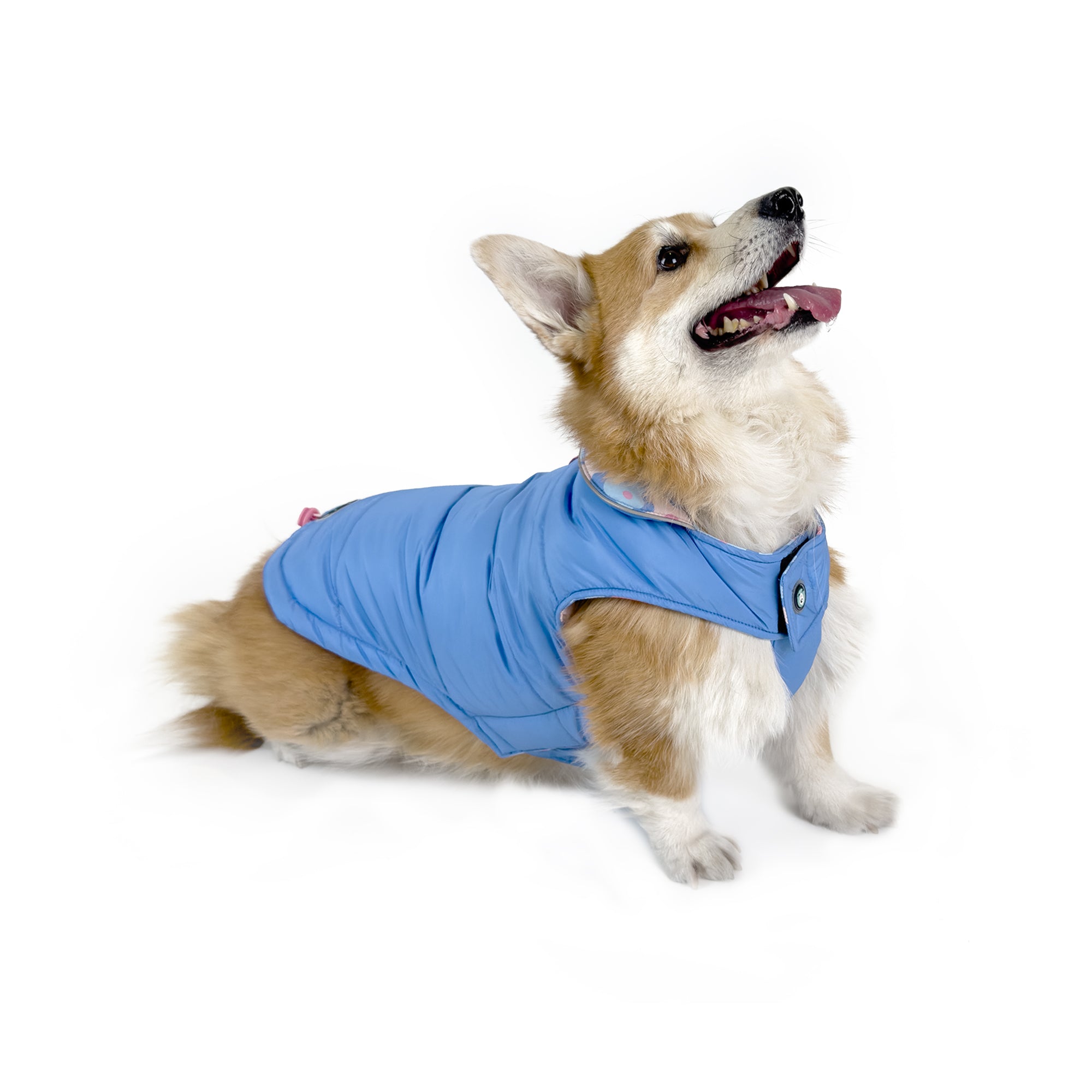 REVERSIBLE COAT