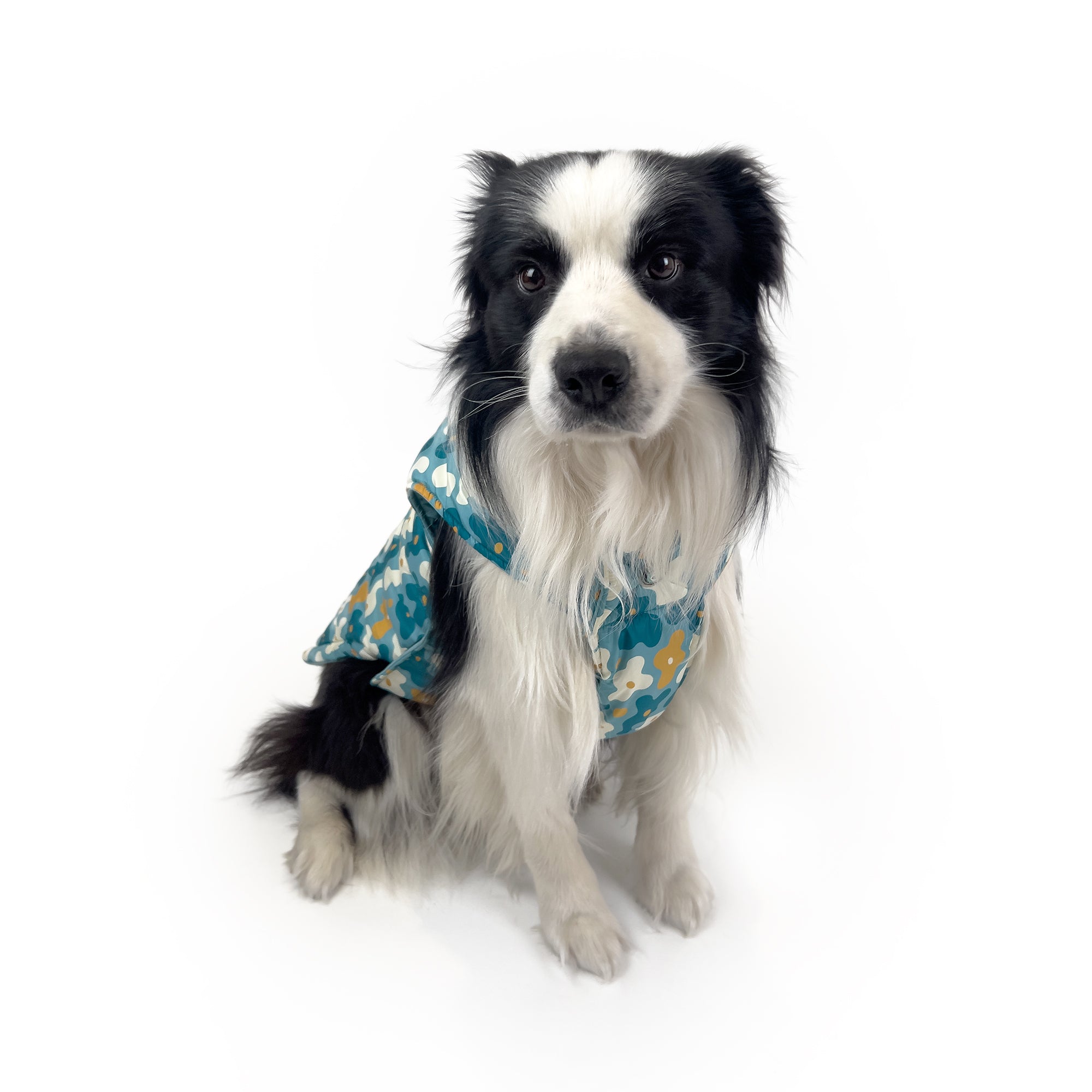 REVERSIBLE COAT