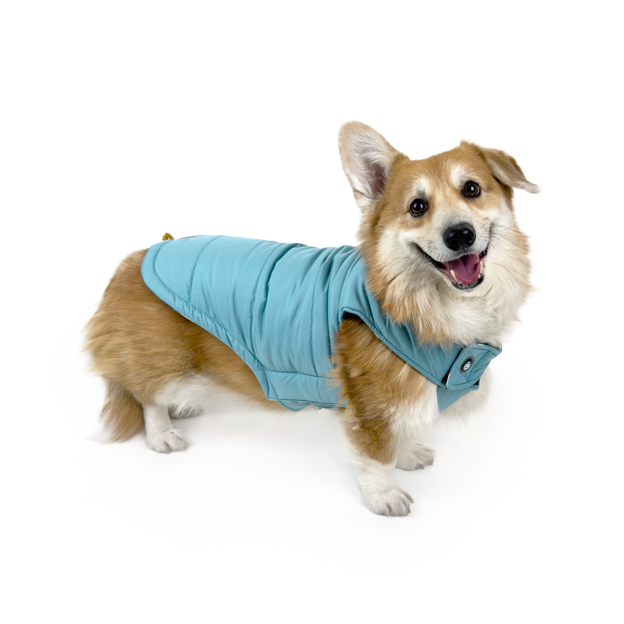 REVERSIBLE COAT