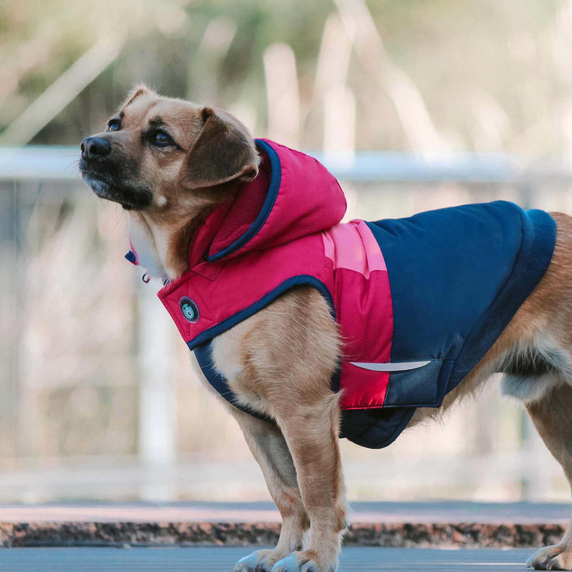 SNOWPARKA COAT