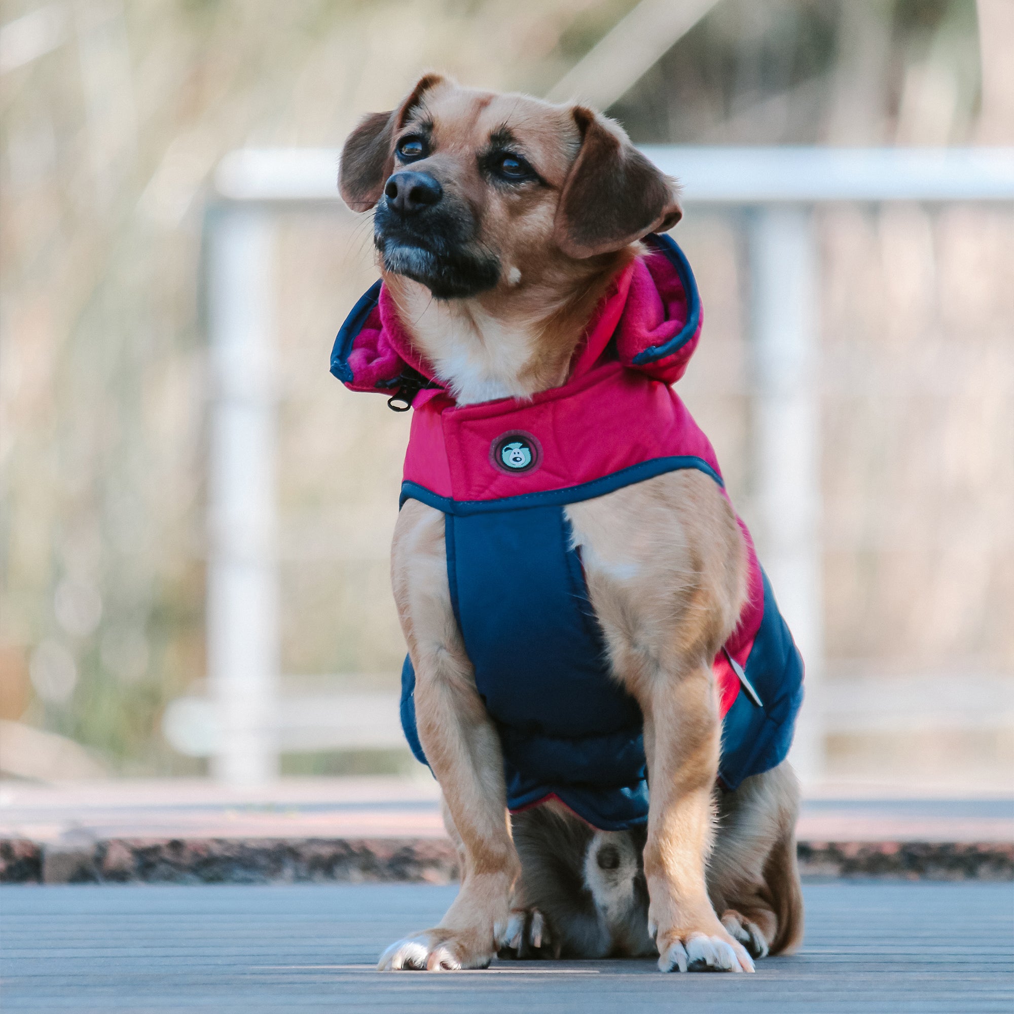 SNOWPARKA COAT