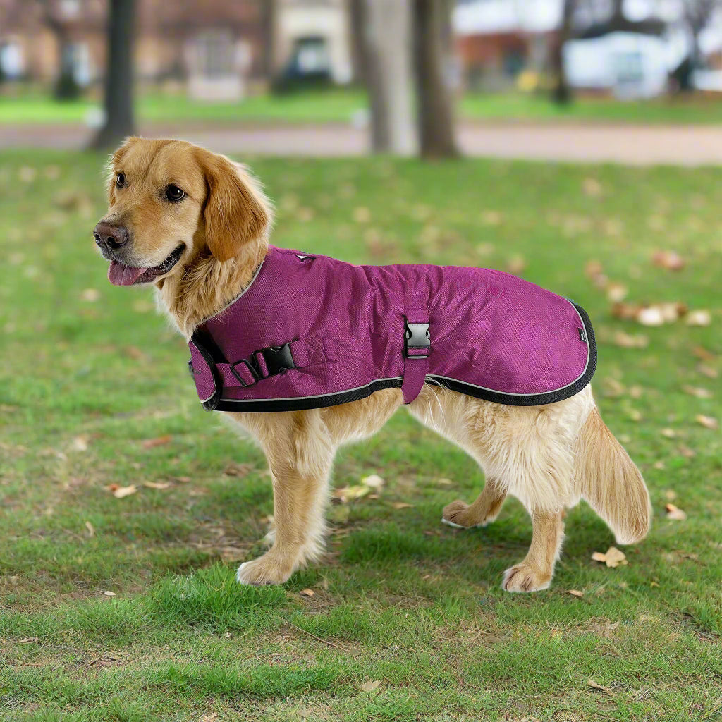 SUMMIT PRO COAT