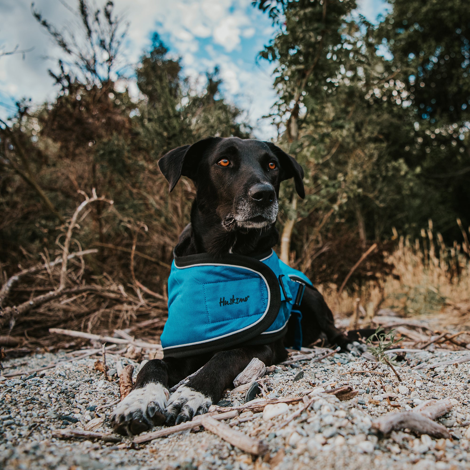 SUMMIT PRO COAT