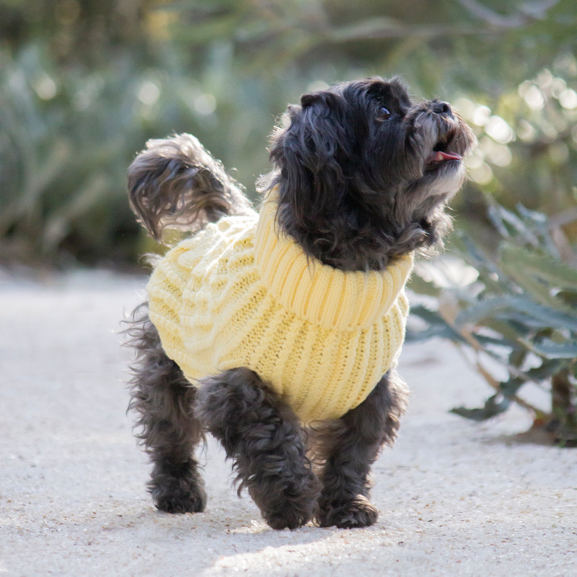 CALI KNIT JUMPER