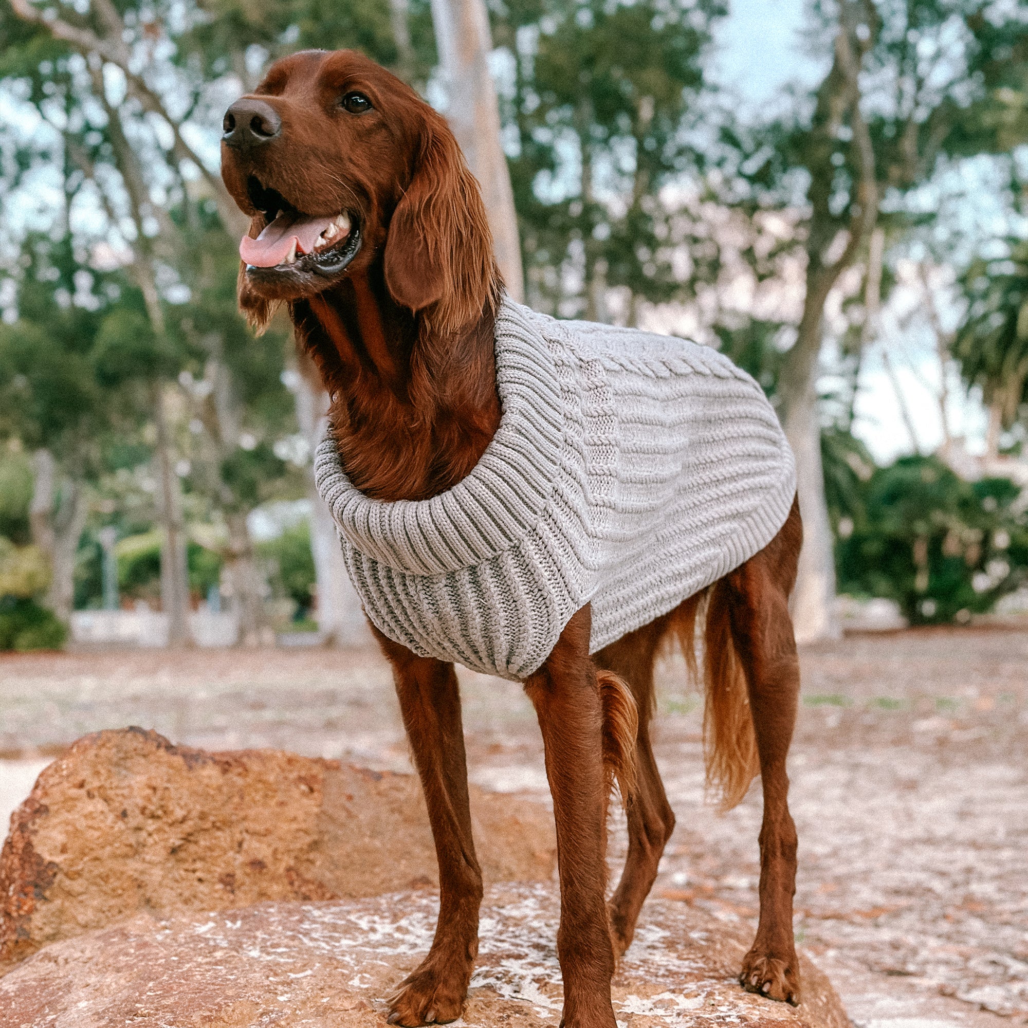CALI KNIT JUMPER