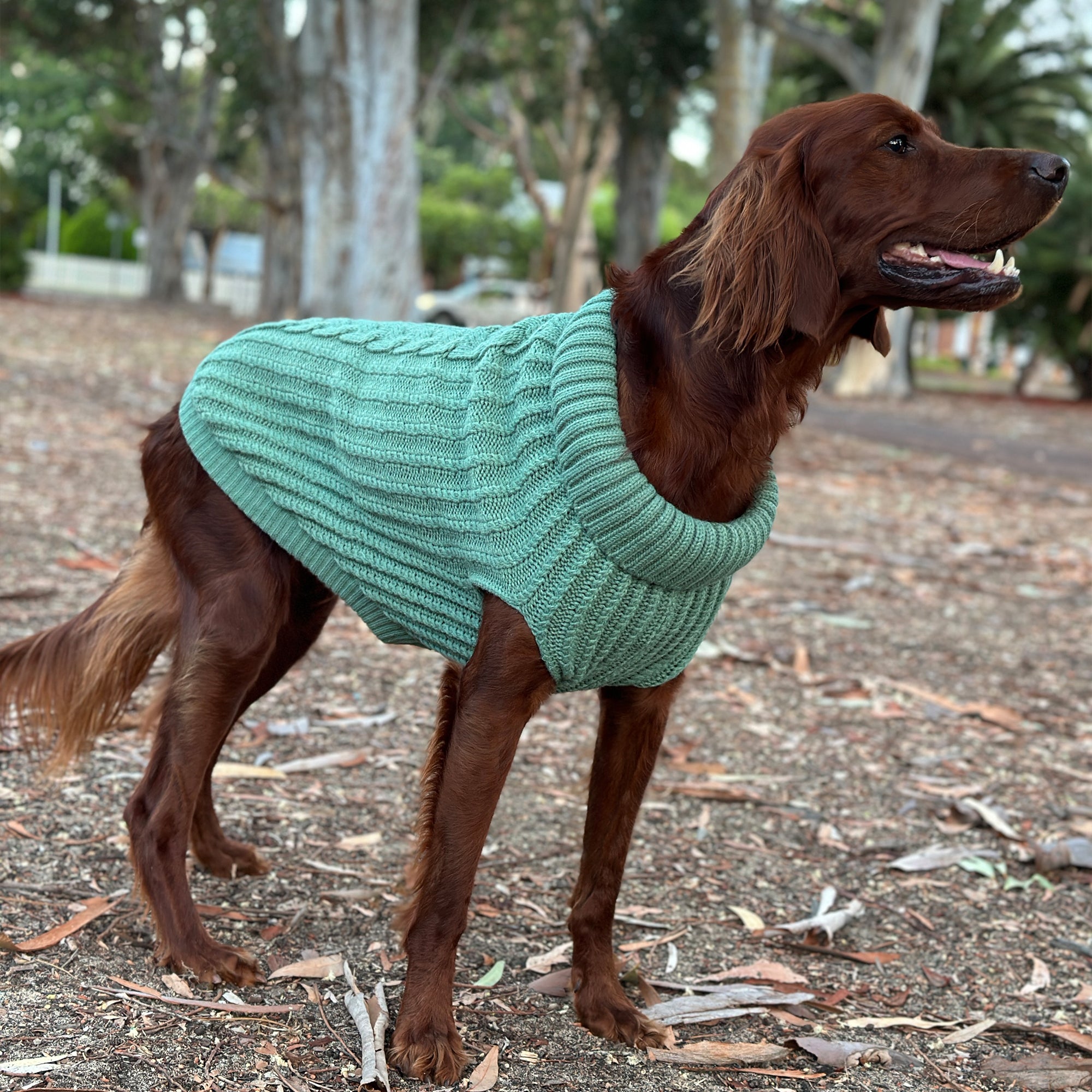 CALI KNIT JUMPER