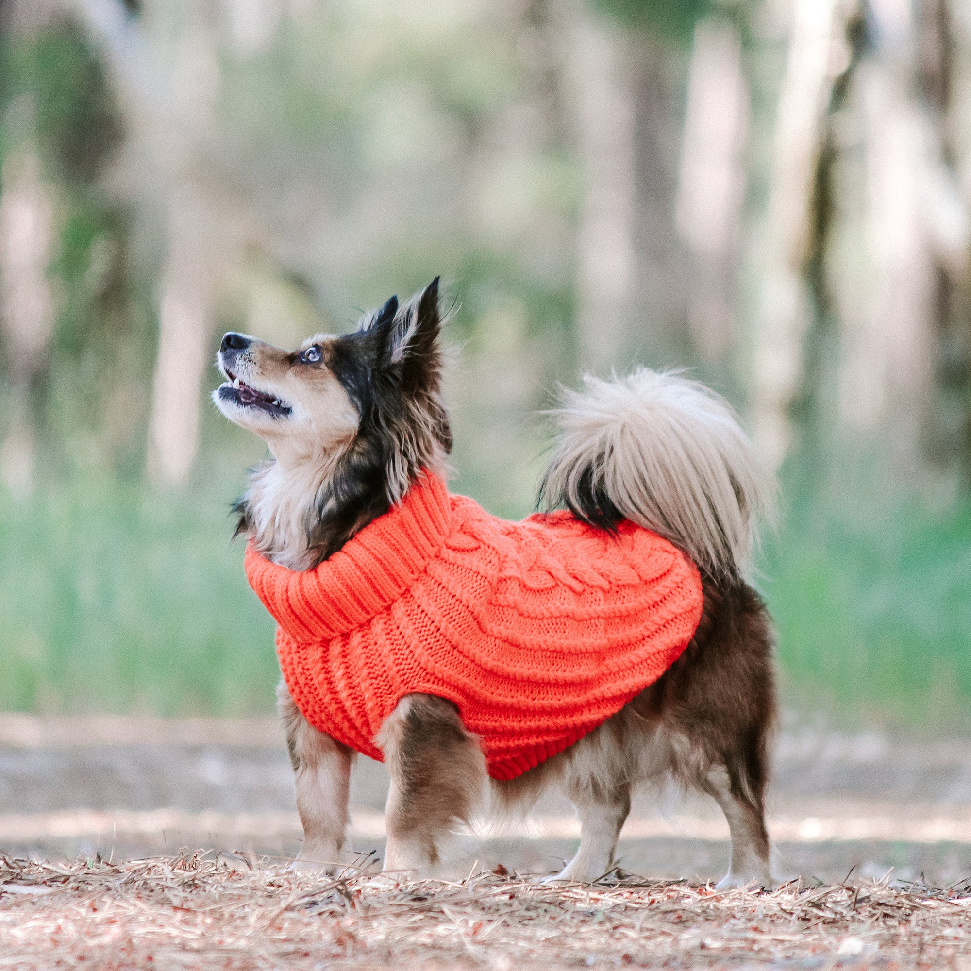CALI KNIT JUMPER