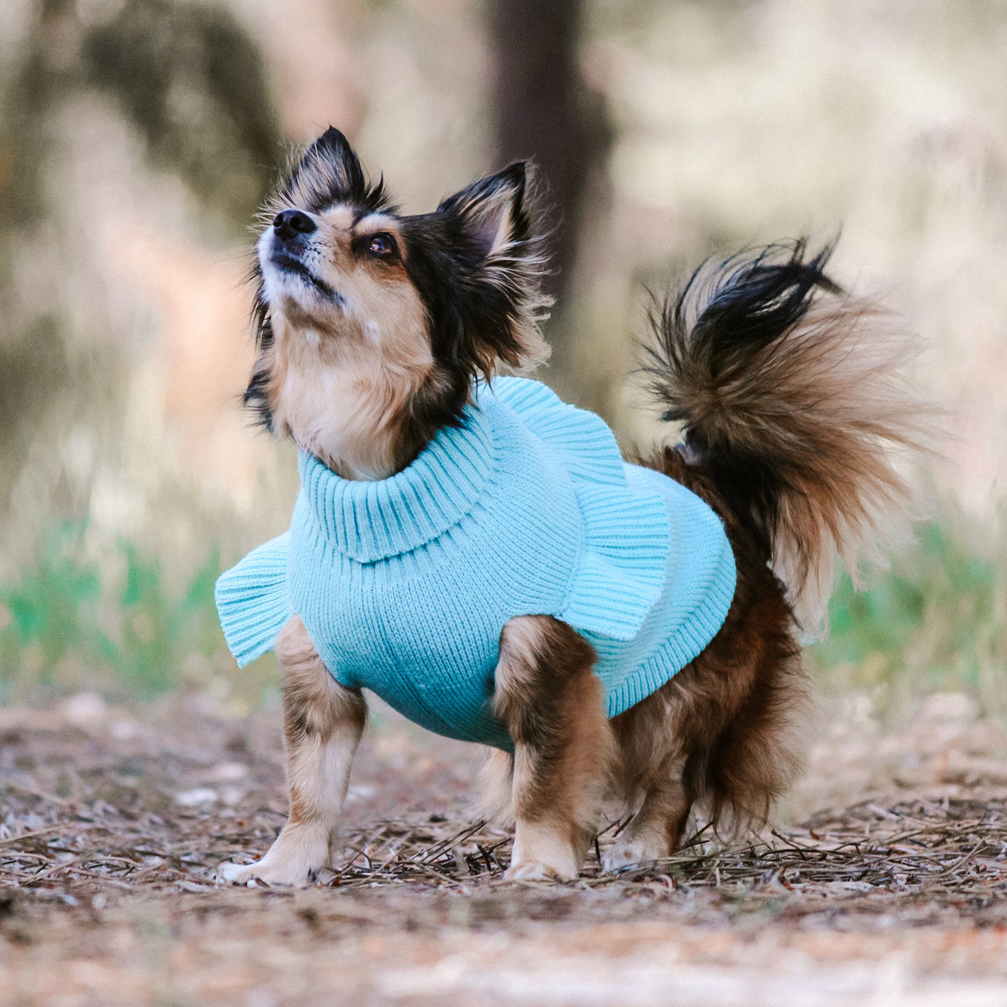FRILL KNIT JUMPER