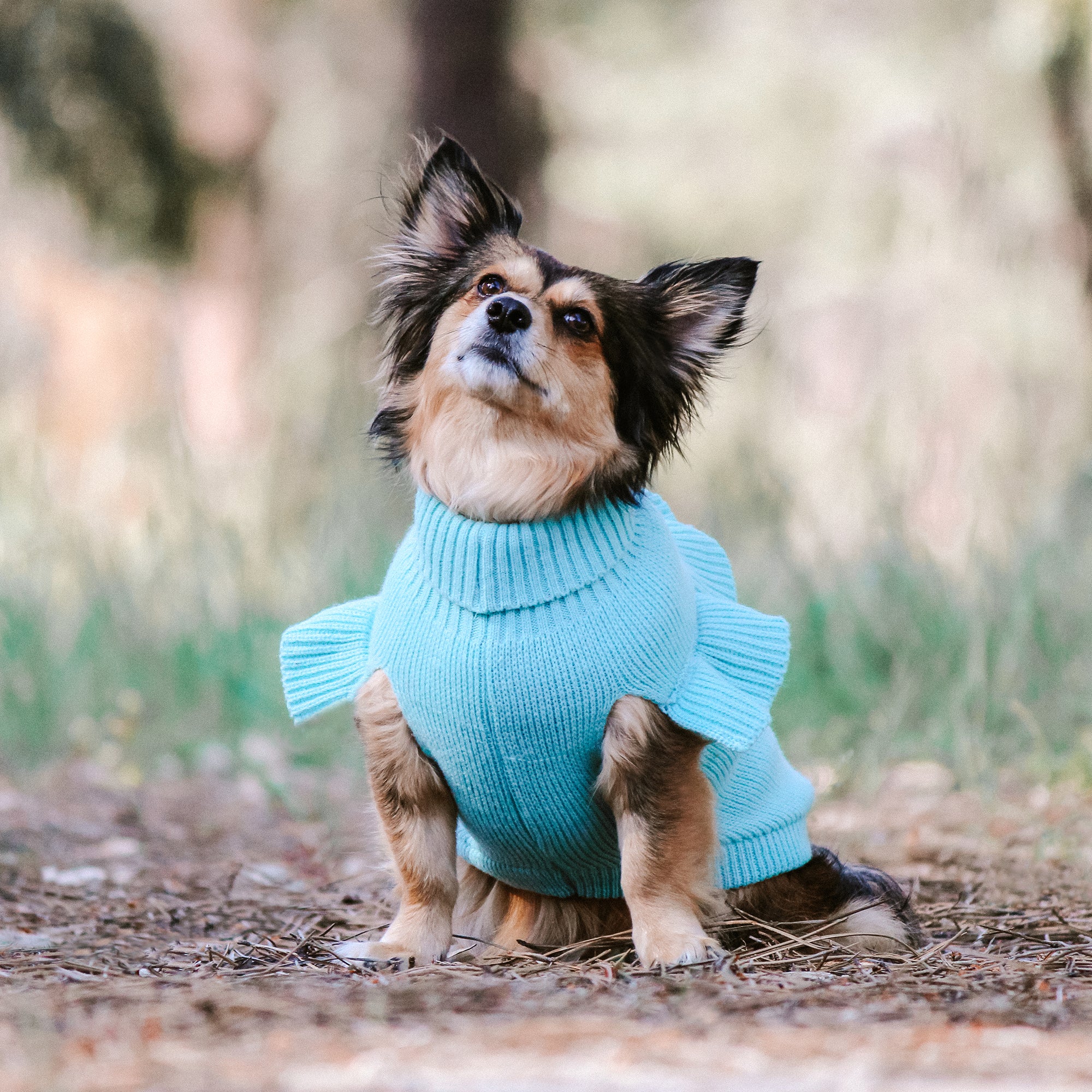 FRILL KNIT JUMPER