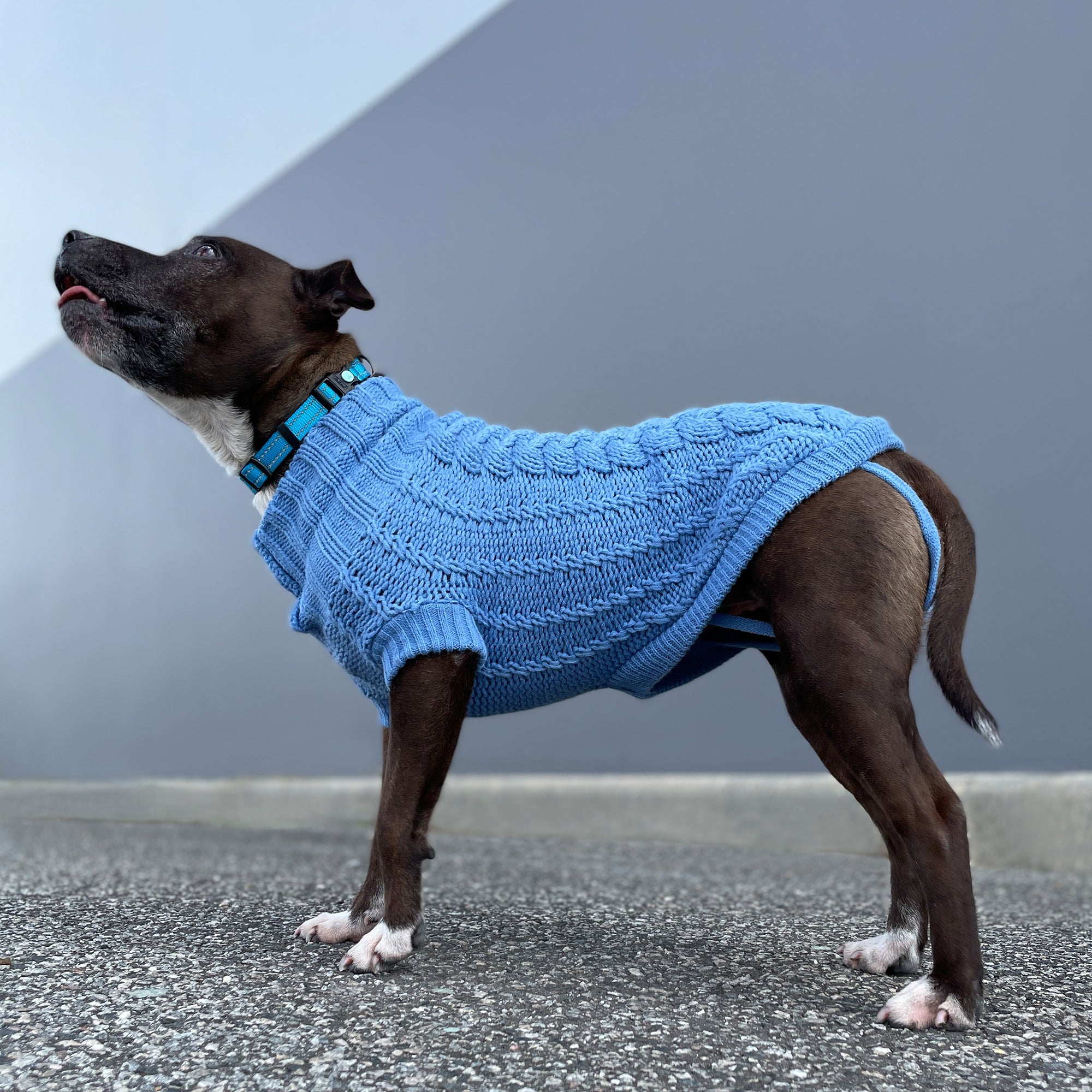 FRENCH KNIT JUMPER