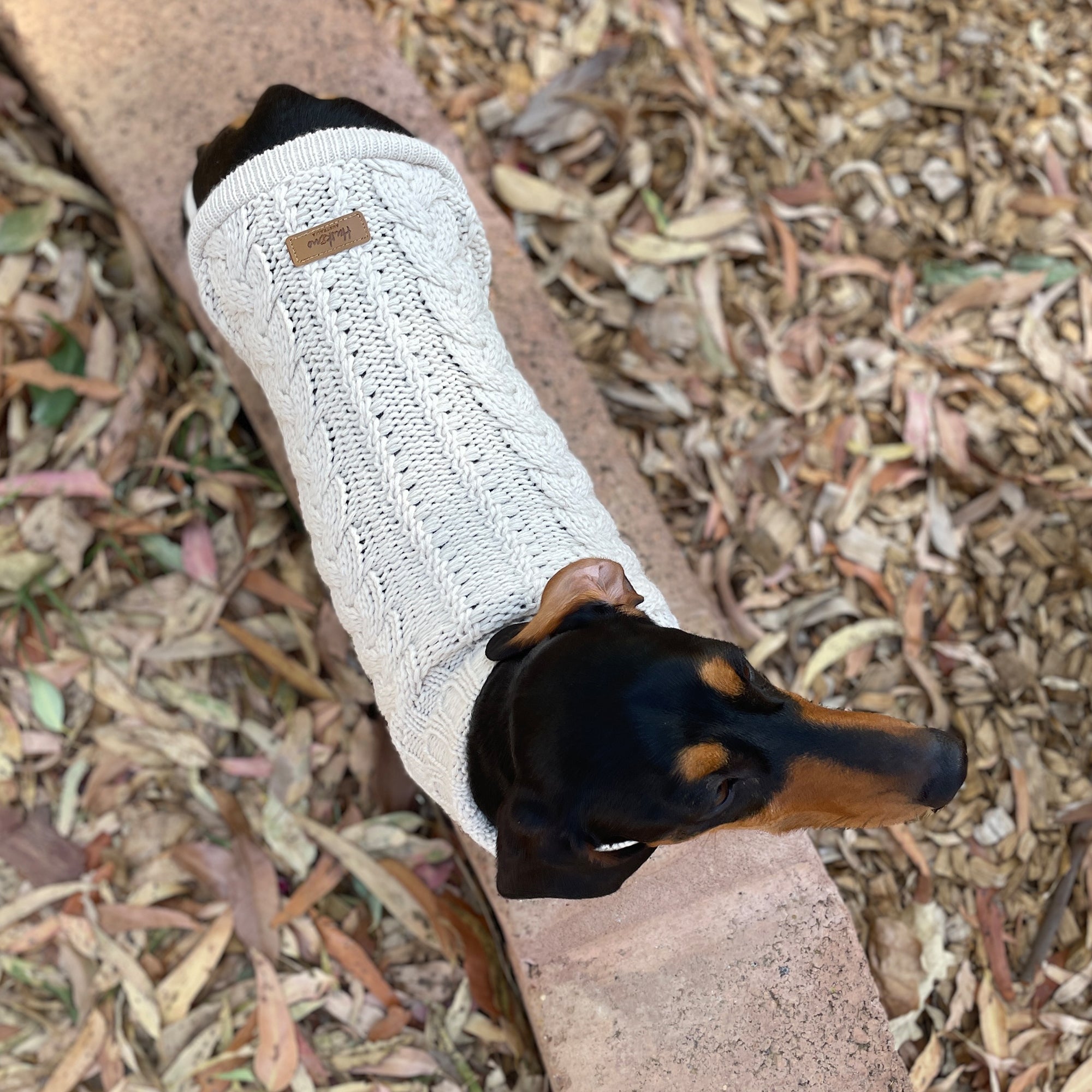 FRENCH KNIT JUMPER