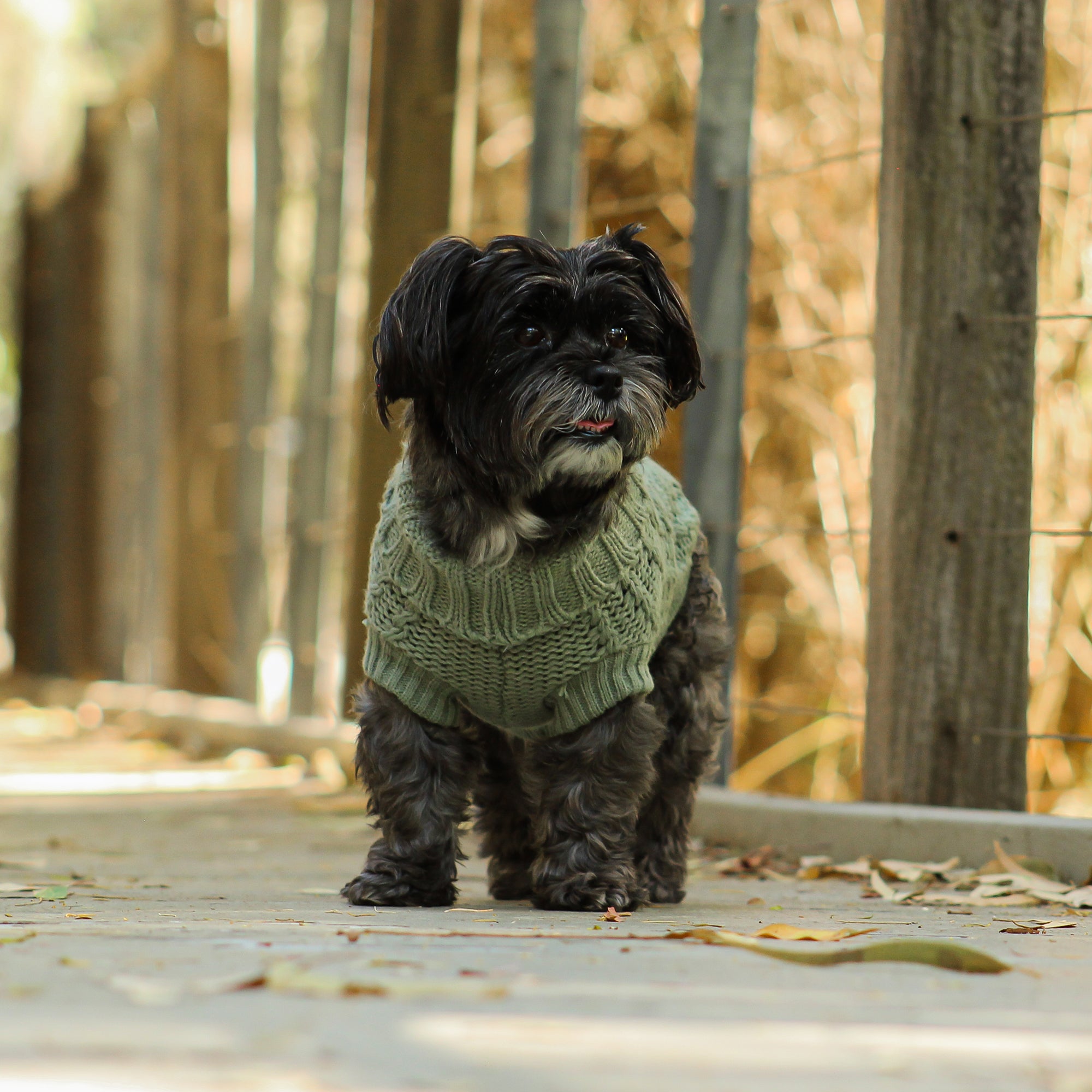 FRENCH KNIT JUMPER