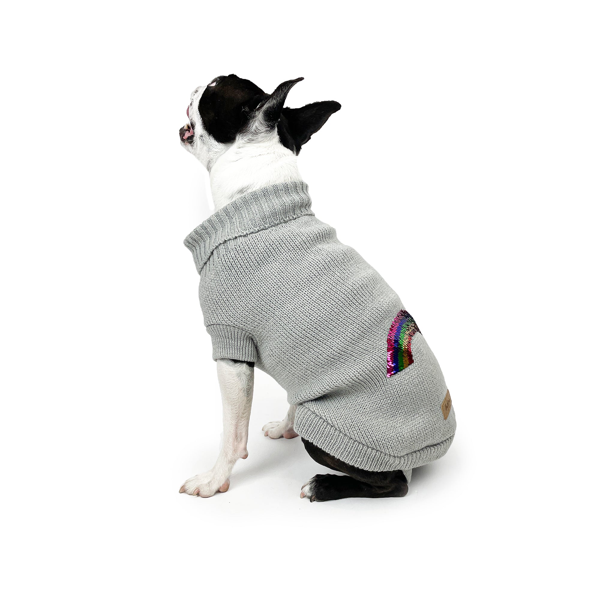 RAINBOW JUMPER