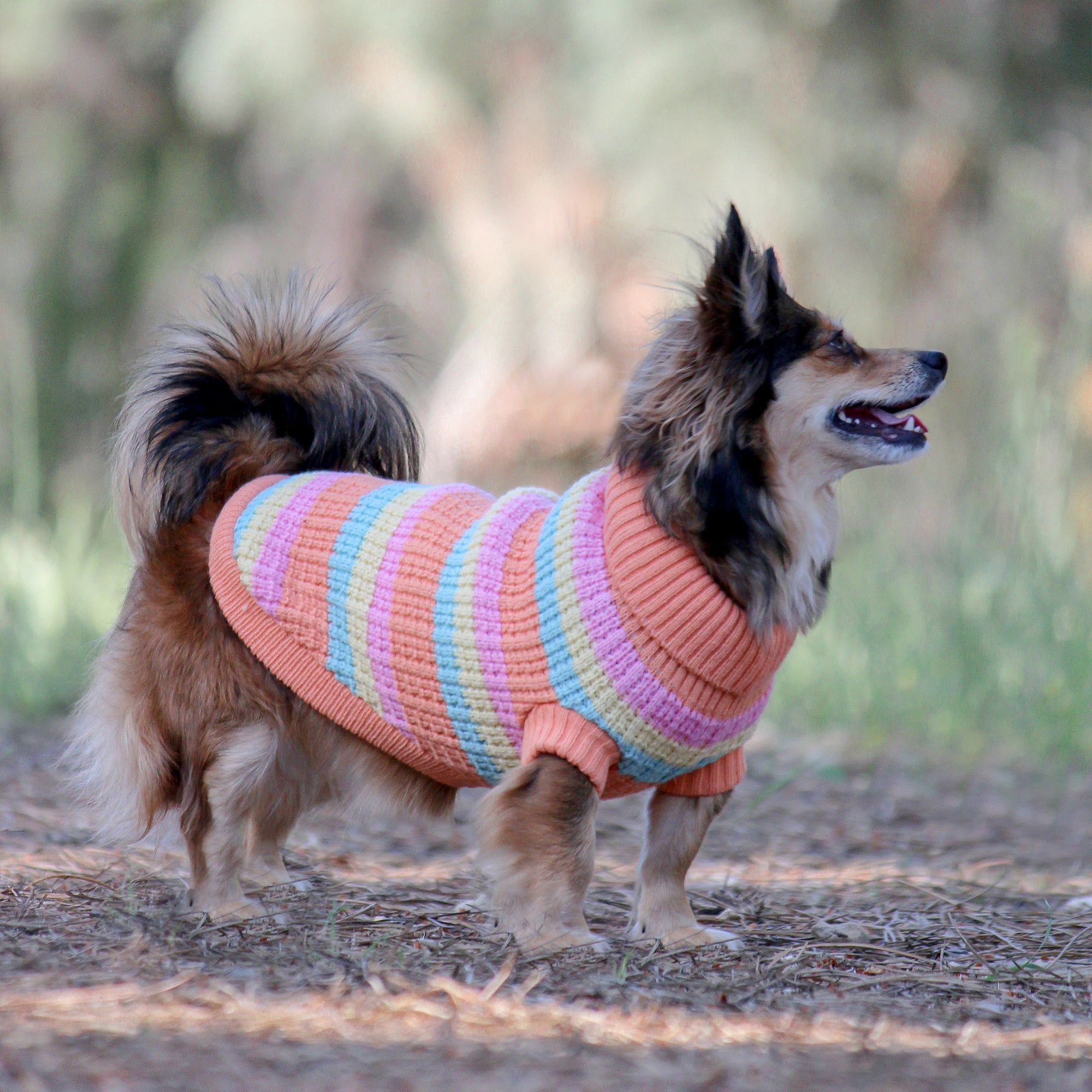 SOHO KNIT JUMPER