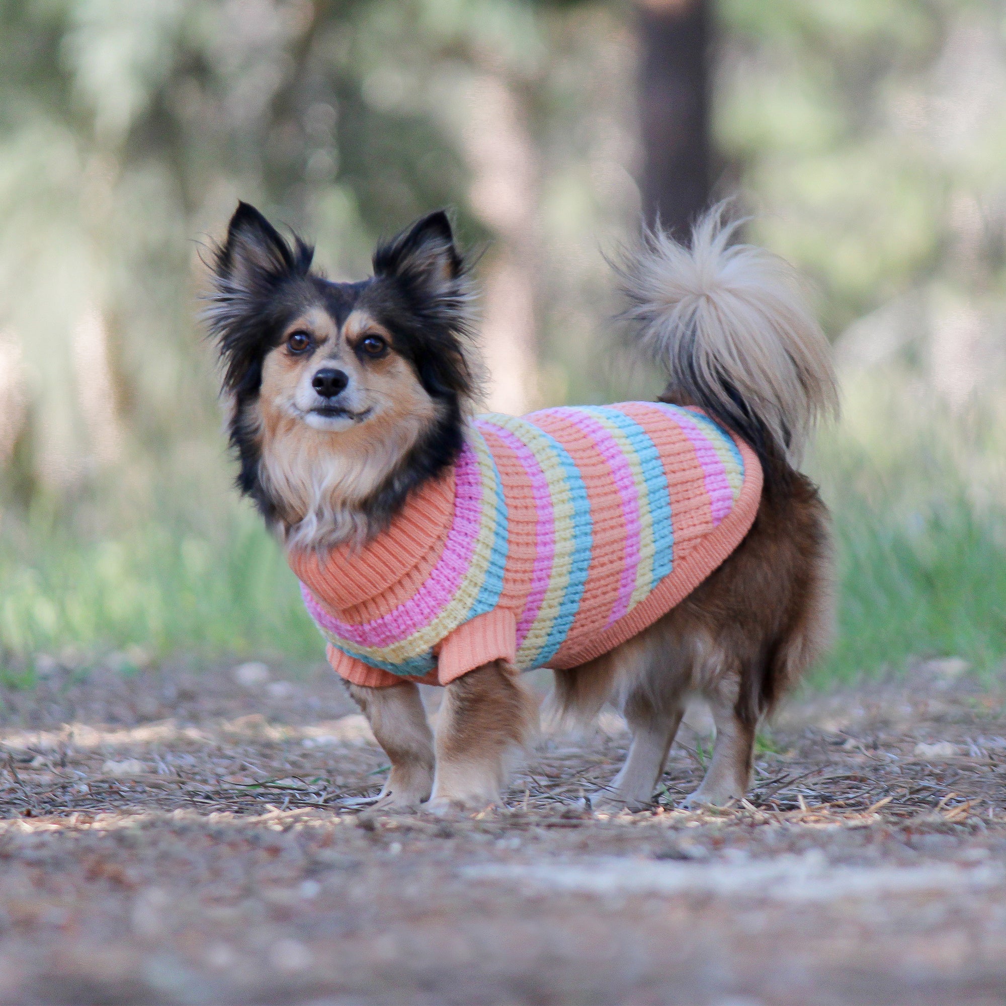SOHO KNIT JUMPER