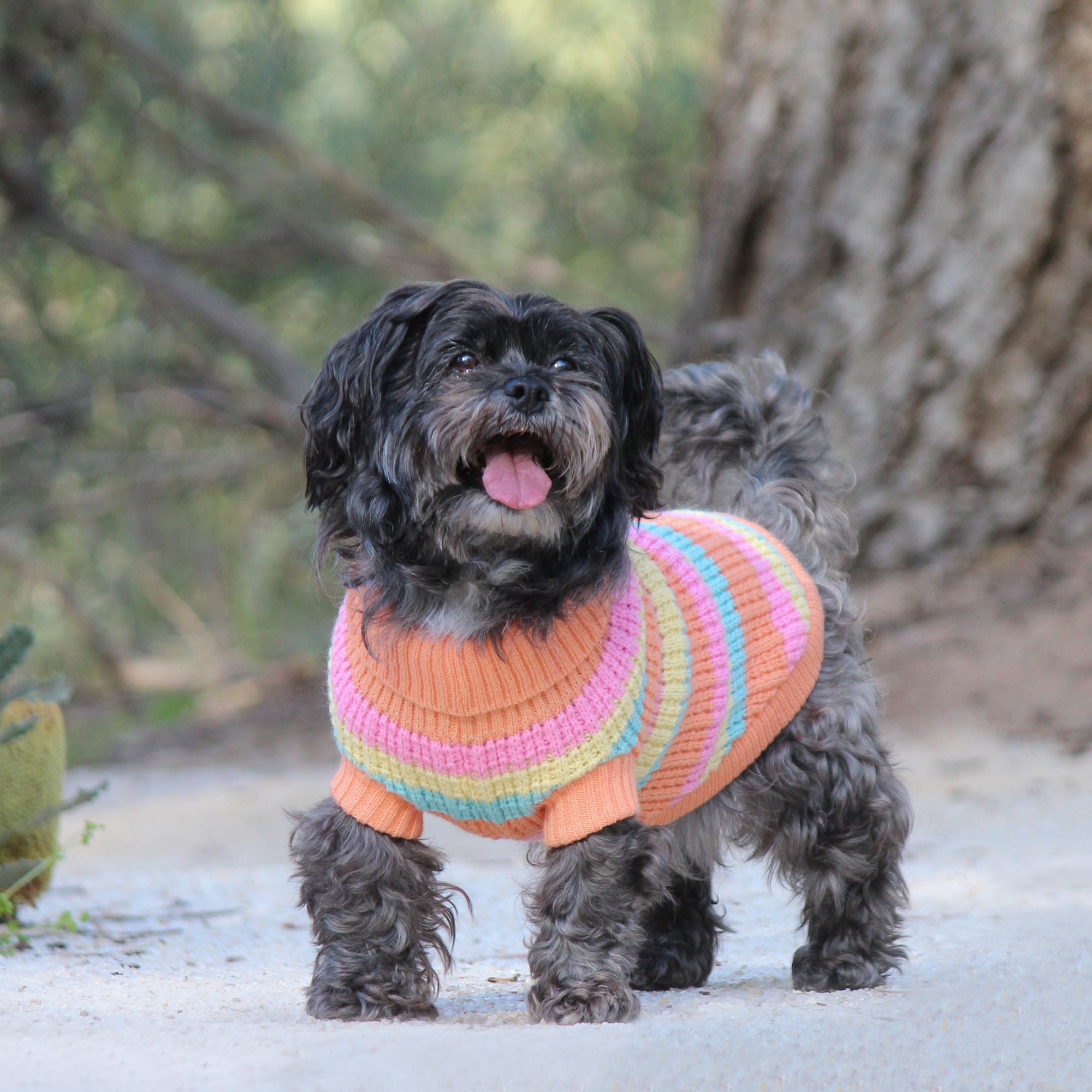 SOHO KNIT JUMPER