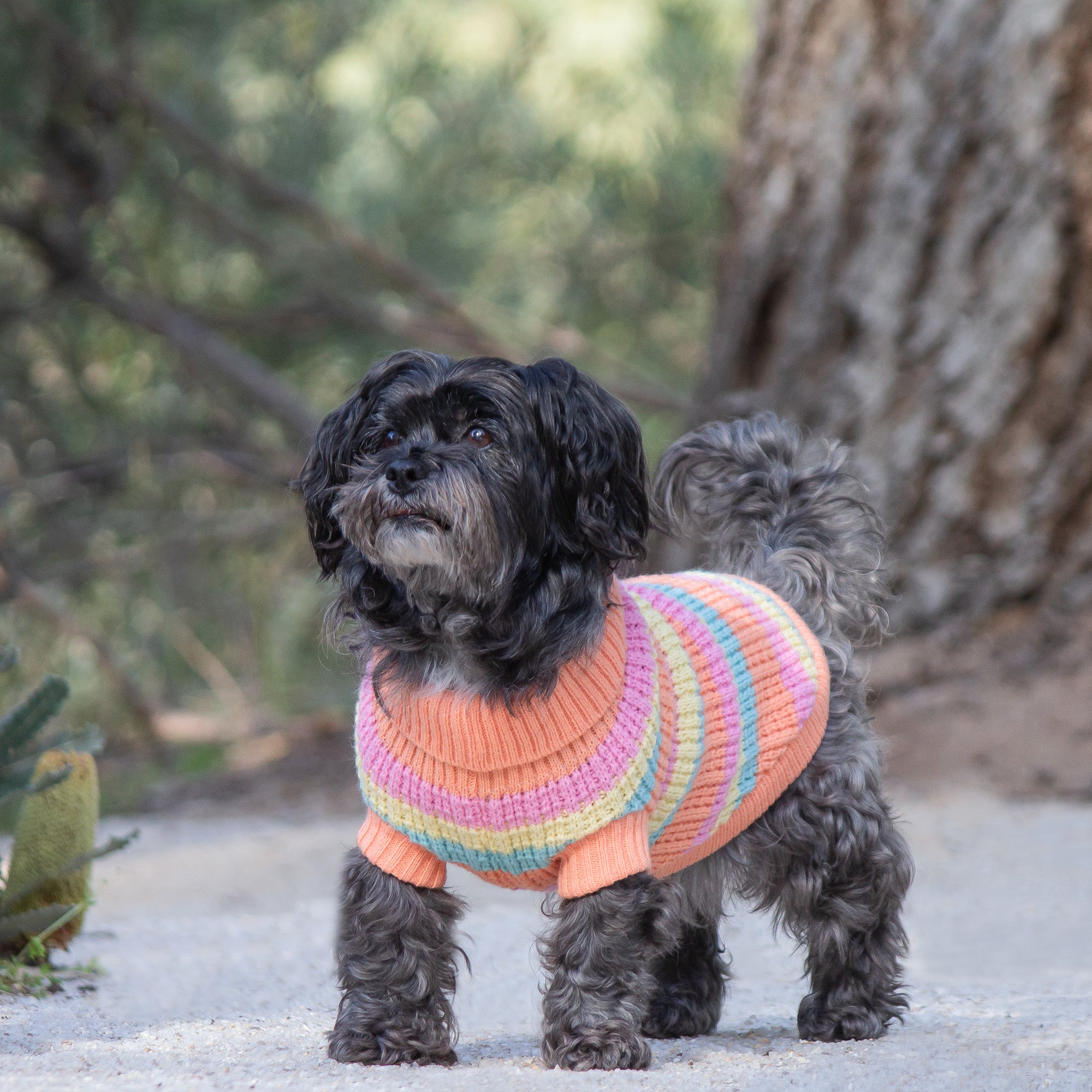 SOHO KNIT JUMPER