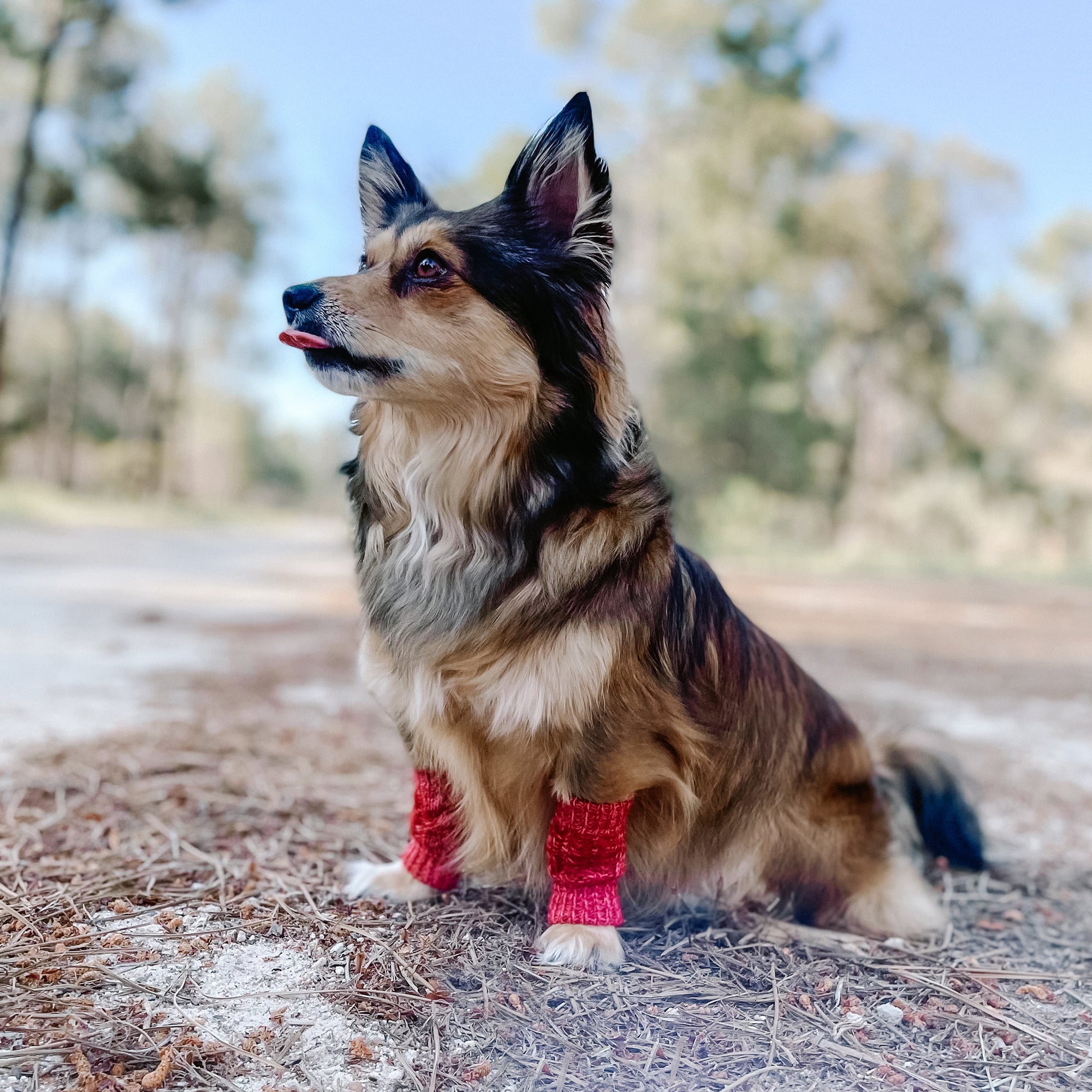 LEG WARMER