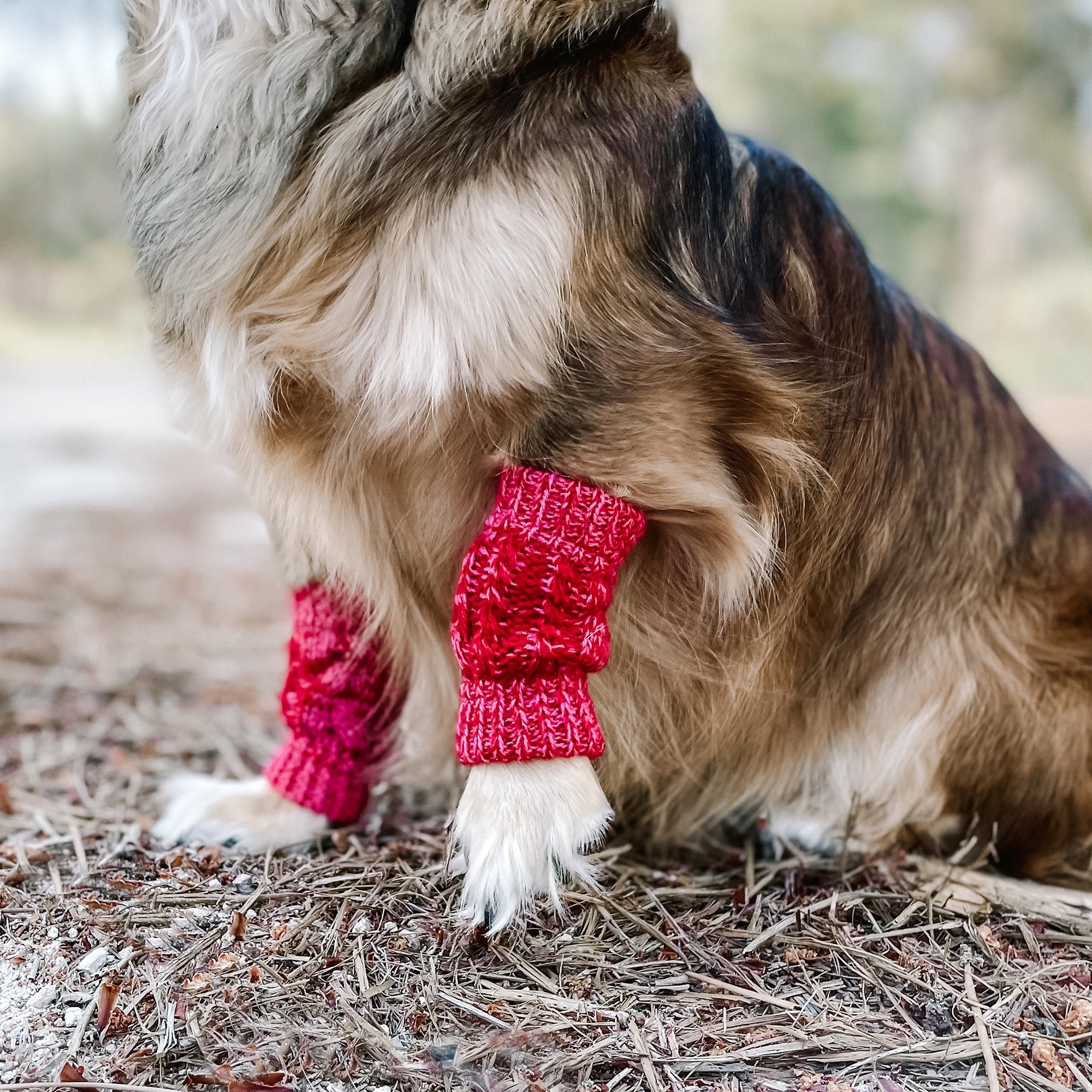 LEG WARMER