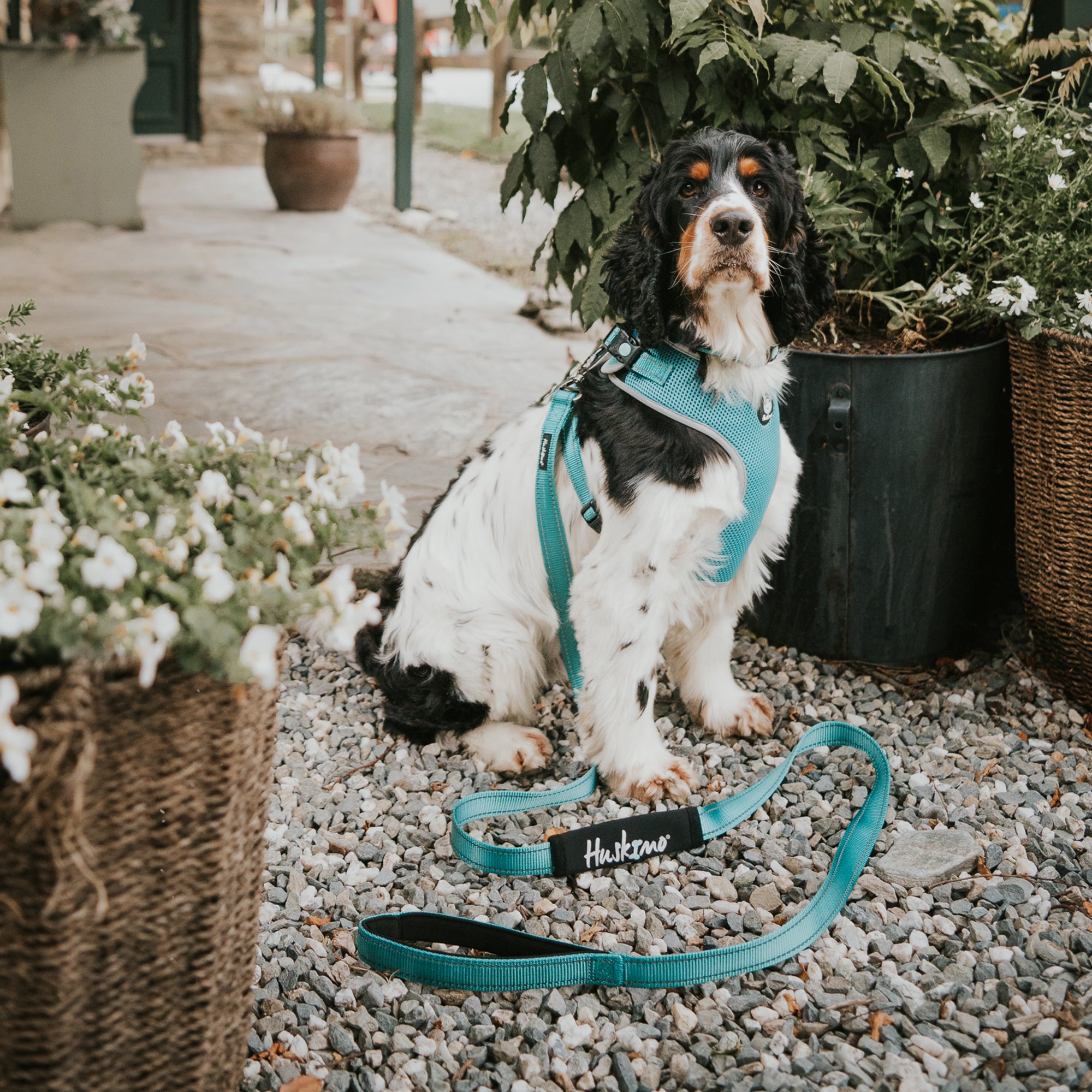 TREKPRO LEAD