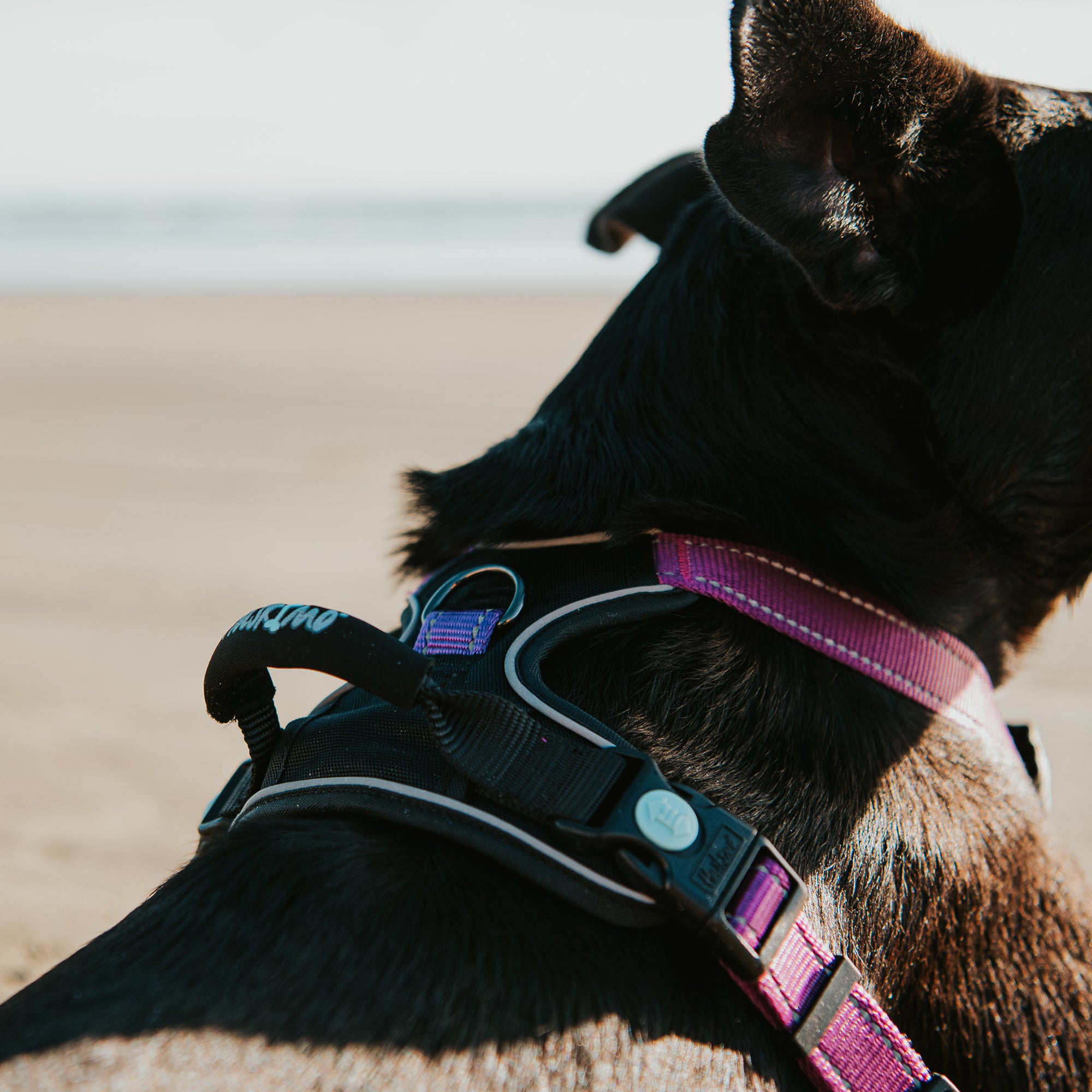 ULTIMATE HARNESS