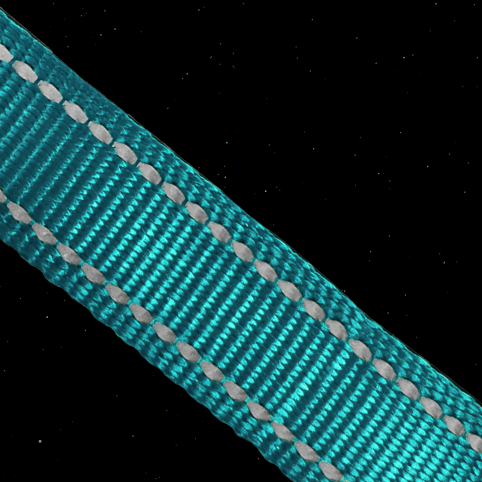 ULTIMATE HARNESS